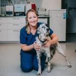 Thea Sibbern Sørensen | Veterinær