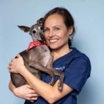 Helene Ziv | Veterinær, DVM CSAVP/Dentistry
