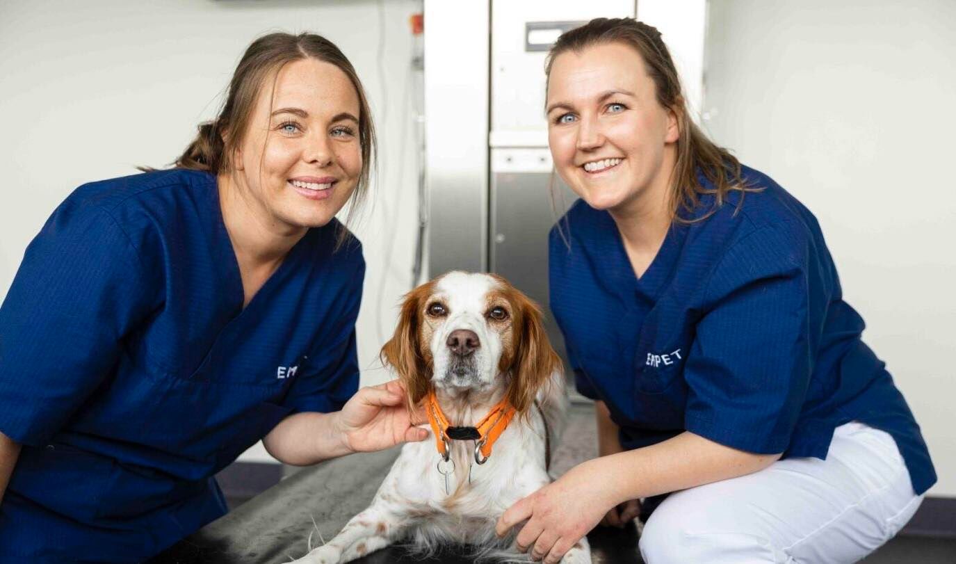 dyreklinikk-porsgrunn