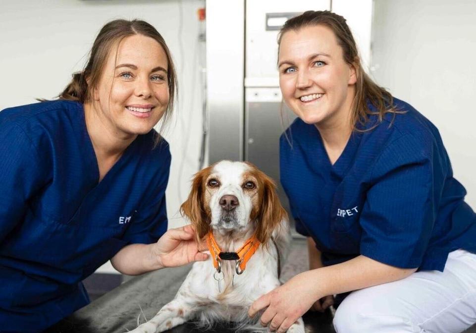 dyreklinikk-porsgrunn