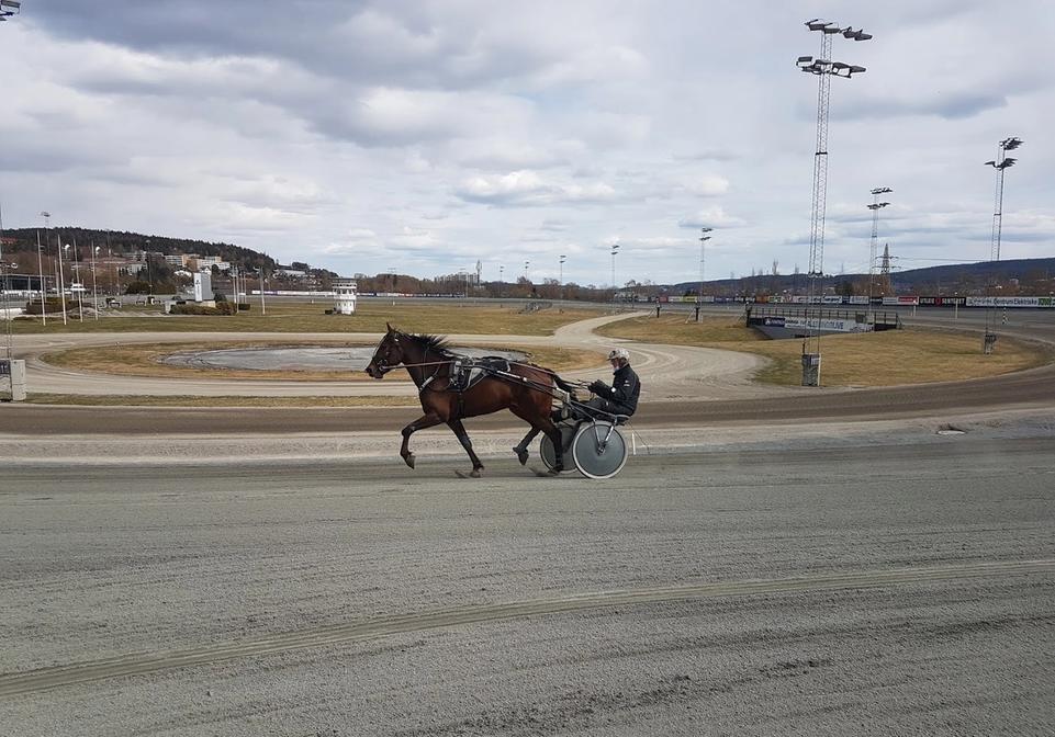 Travhest med sulky og kusk i aksjon på travbanen ved Bjerke Travbane, med tribuner og lysmaster i bakgrunnen under overskyet himmel
