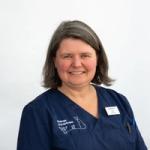 Sølvi Gravem | Veterinær