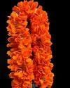 Artificial Kanakambaram (Firecracker) Flower Garland 16 Inch 1