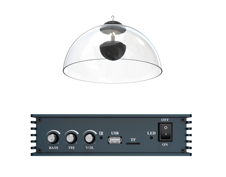 T-30DXT Directional speaker