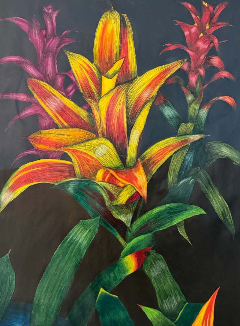 Tropical Study, Color Pencil & Acrylic on Paper, 2021