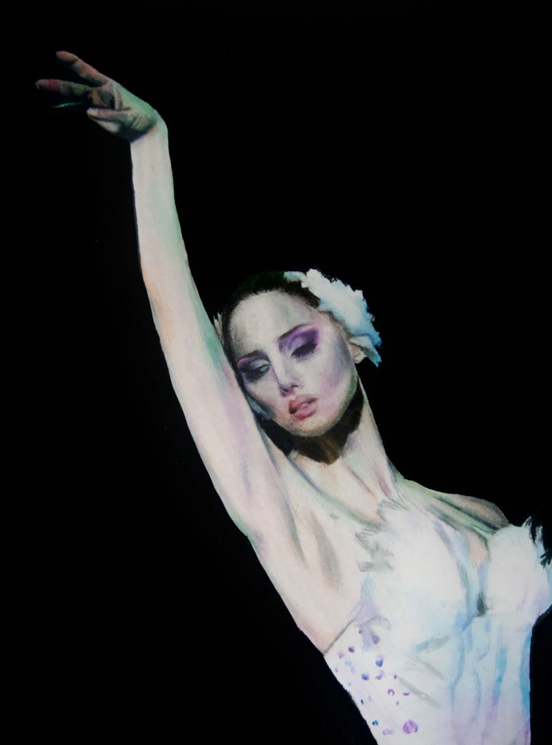 Swan, Colored pencil and pastel on paper, 2024