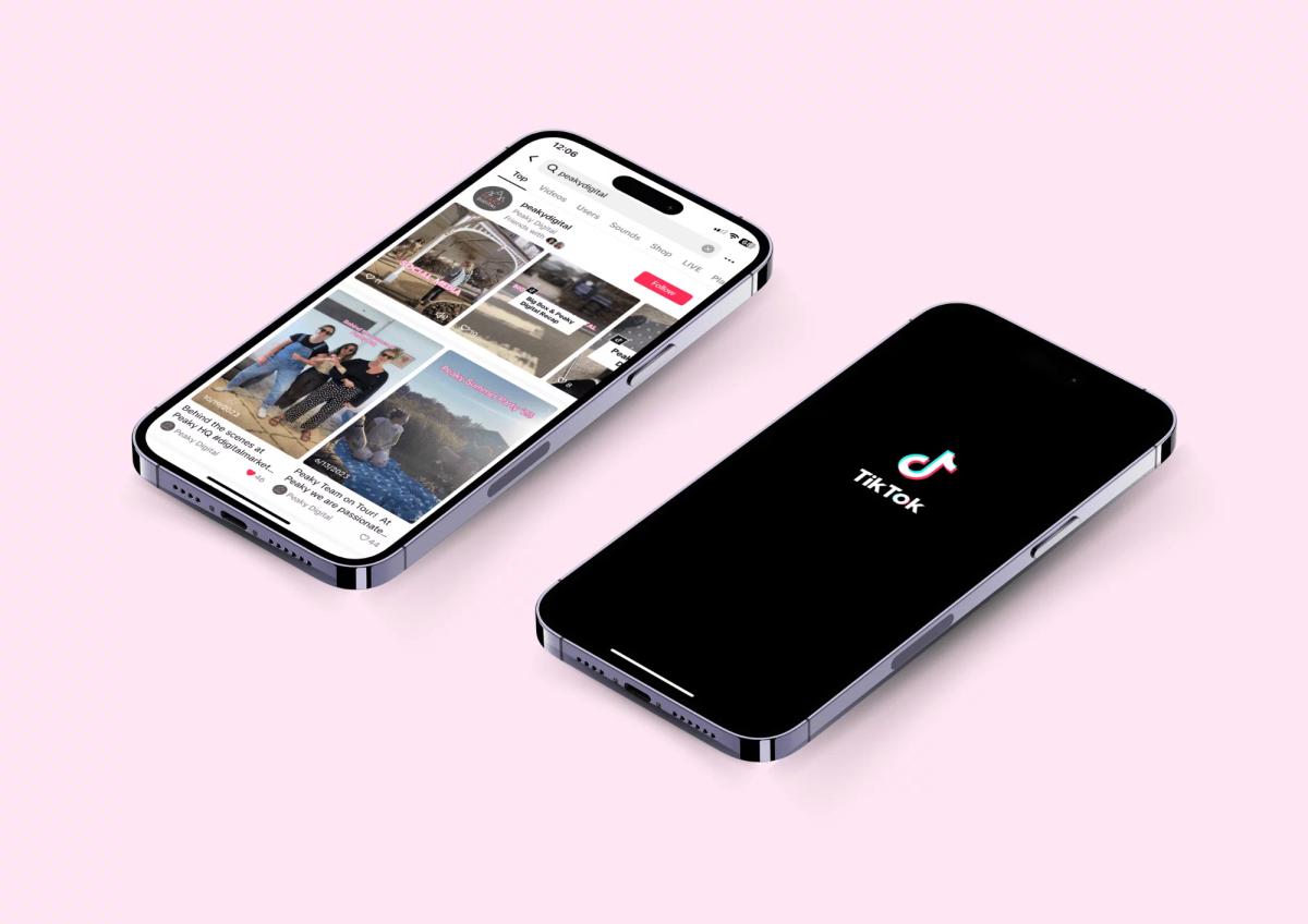 How to Make TikTok Ads for Dropshipping Businesses (Complete Guide) - Image 191