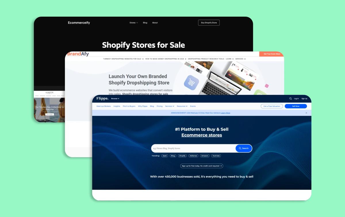 Is It Worth Buying a Prebuilt Shopify Store? When It Might Be & When Not - Image 3