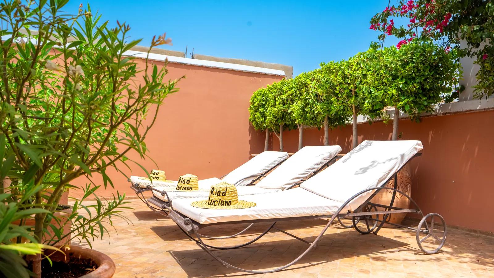 Sun loungers and plants on the rooftop