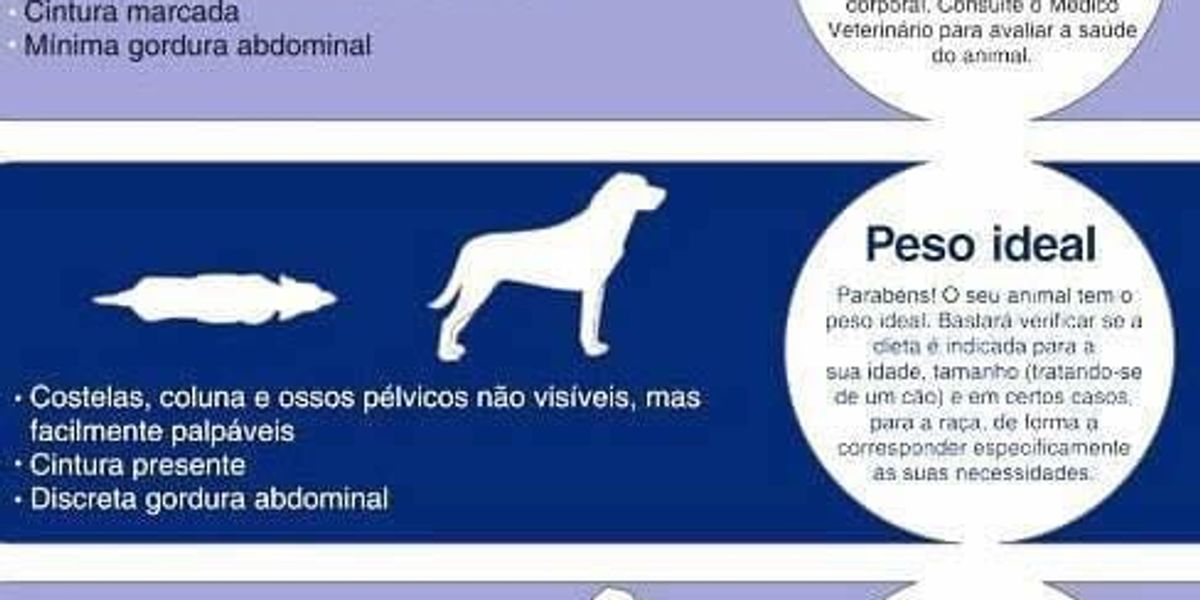Como manter o peso ideal do seu cão