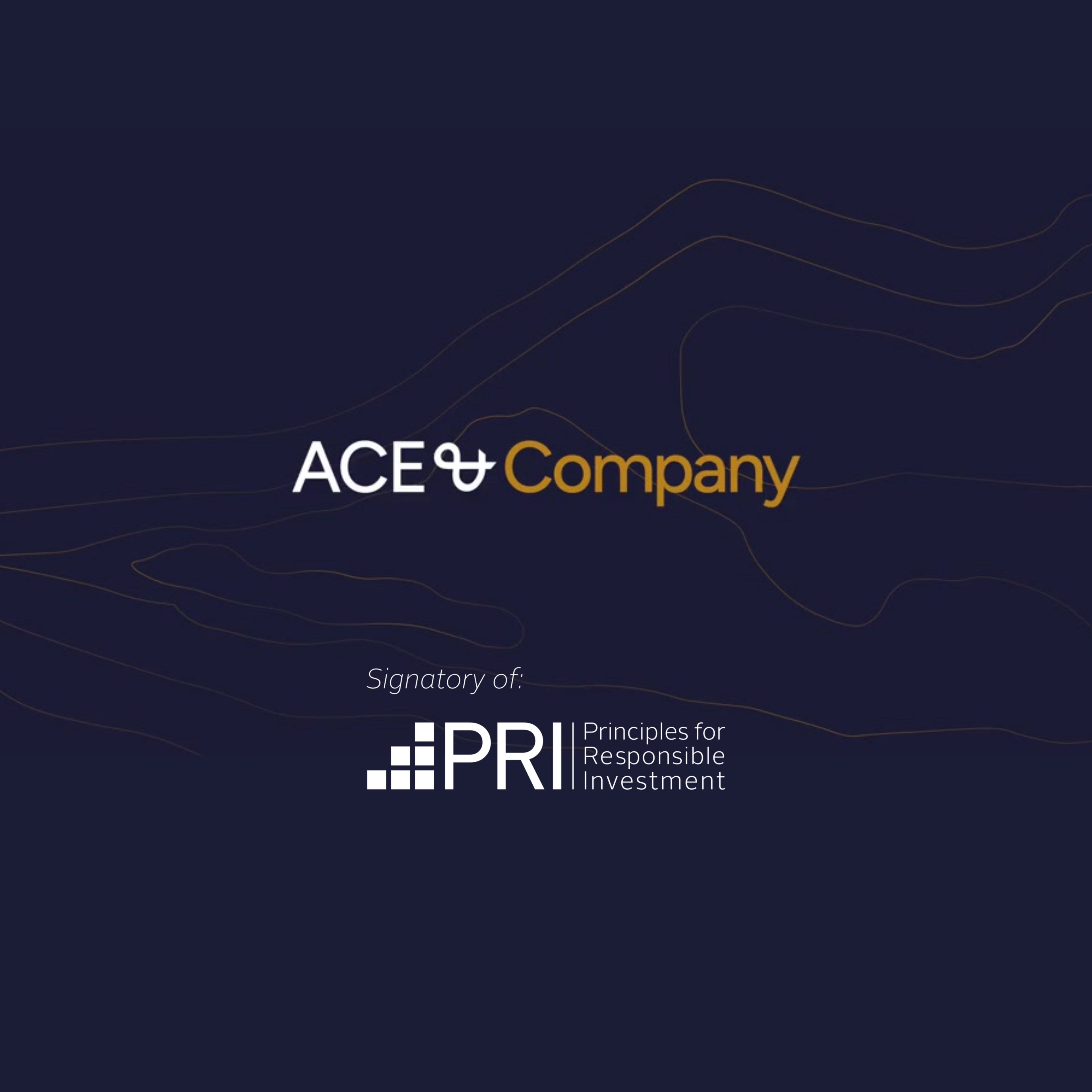 ACE & Company becomes signatory to the UN PRI