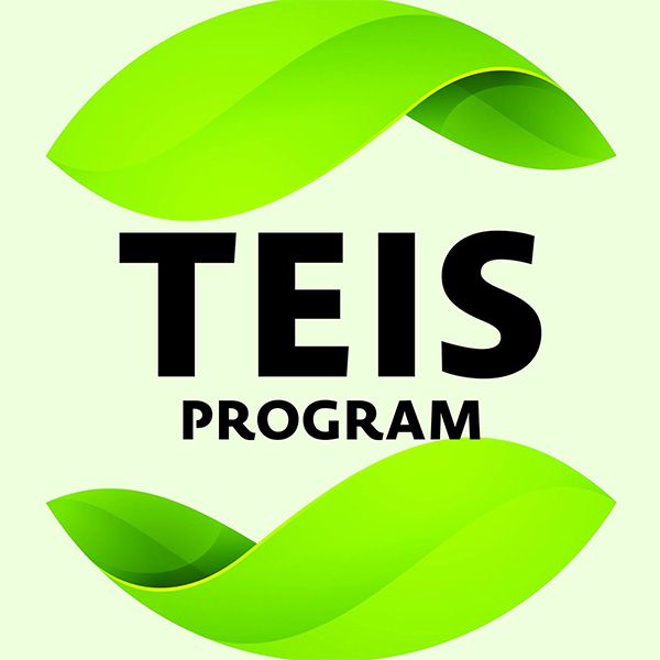 TEIS