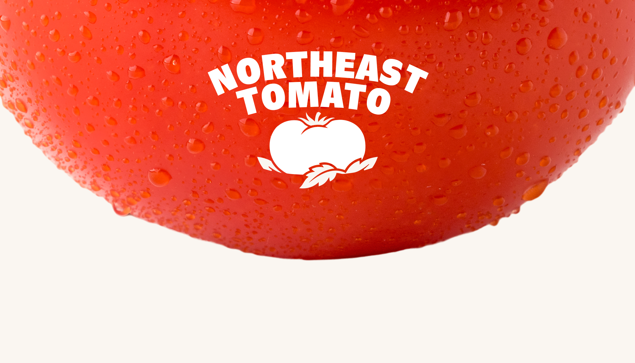 Northeast Tomato: White logo over a close-up red tomato. Design by D7mtg.