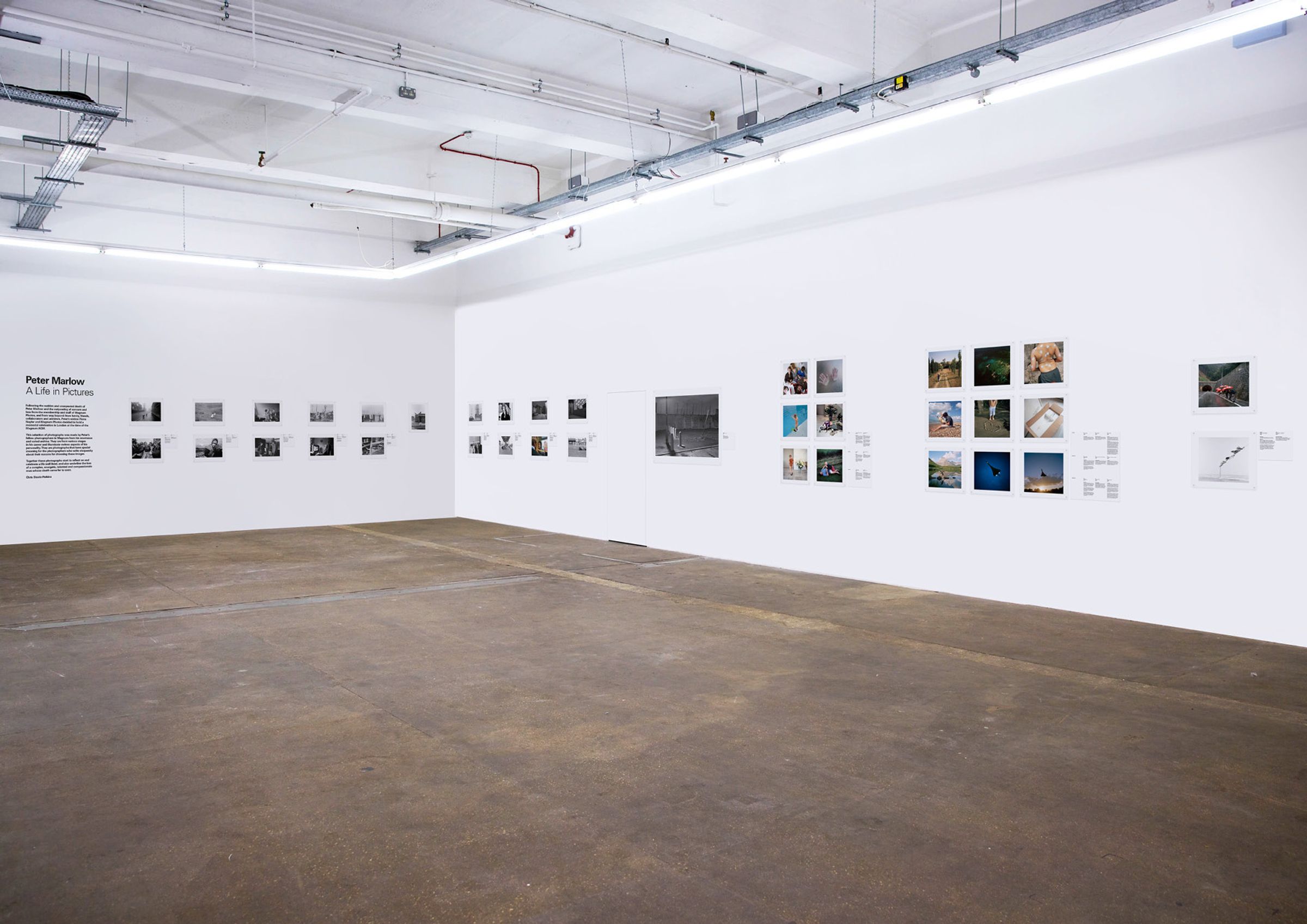 Peter Marlow A Life in Pictures exhibition, Protein Studios