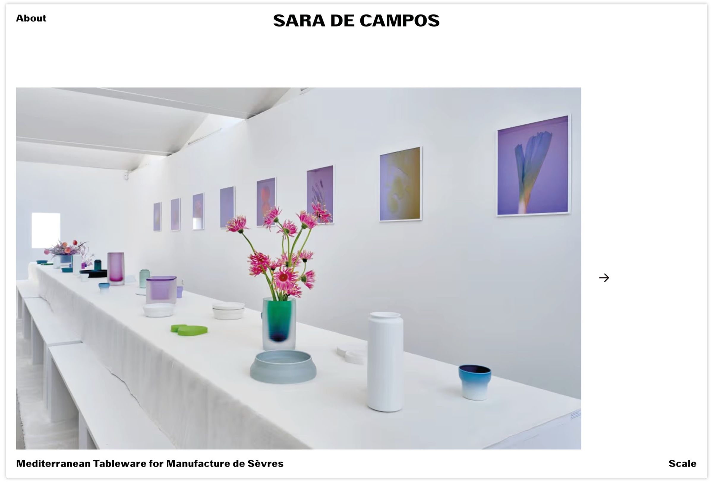 Sara de Campos Website