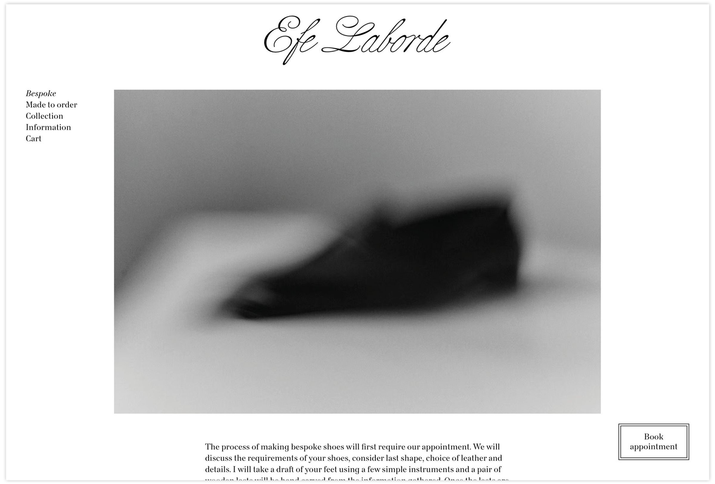 Efe Laborde Website