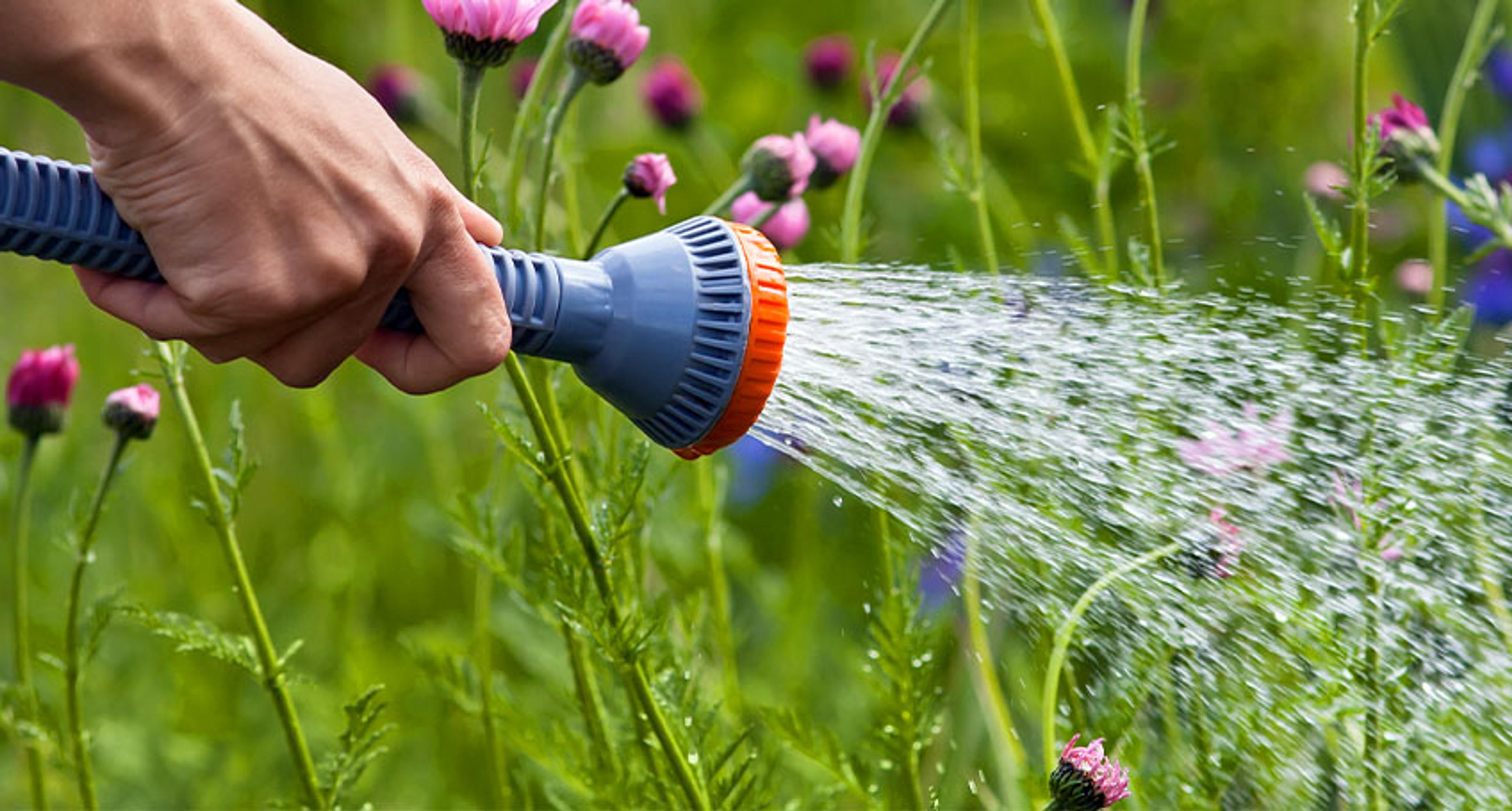 Fordelene med utekran