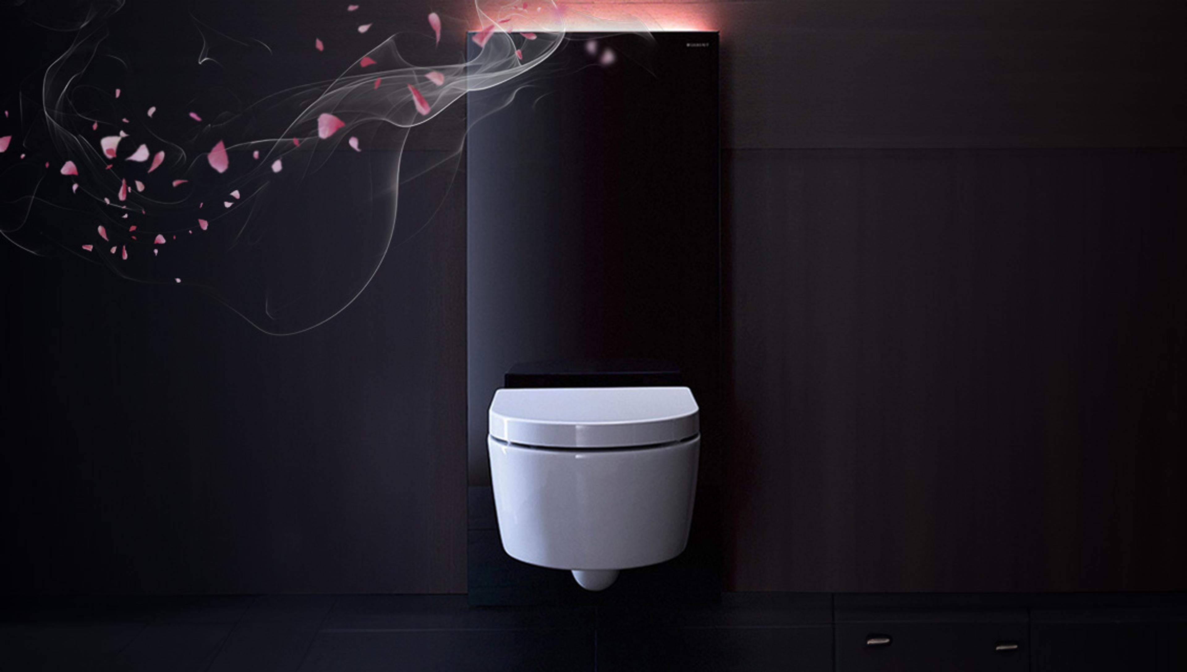 Geberit DuoFresh luktfritt toalett på bad