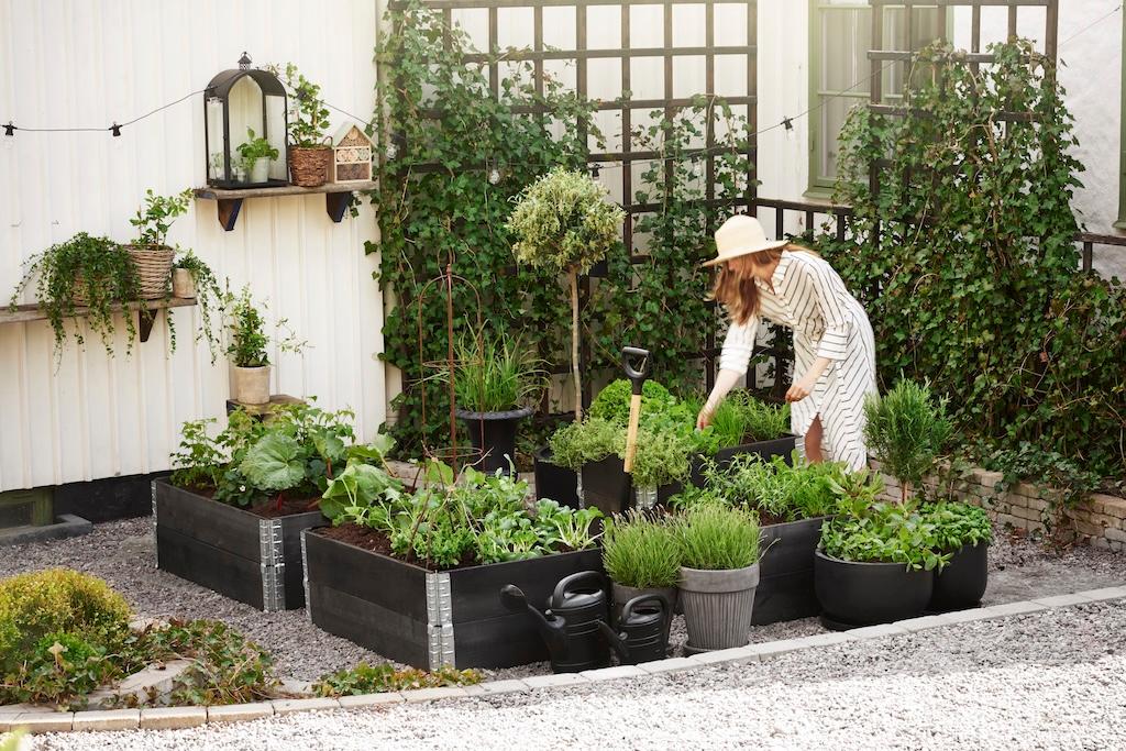 Dame som jobber i hagen. Foto: Plantasjen