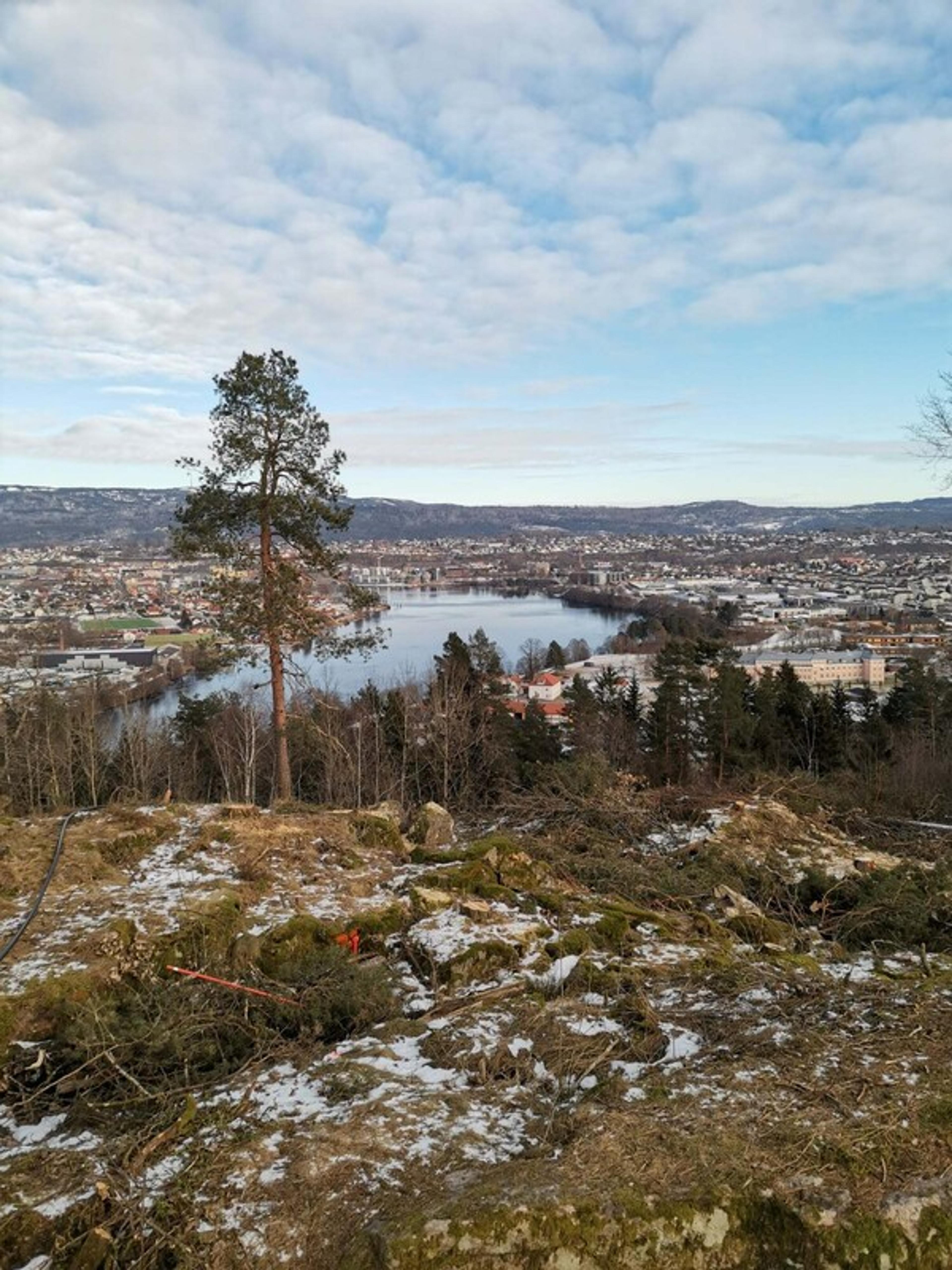 Tomt fra Blink Hus Telemarkhus