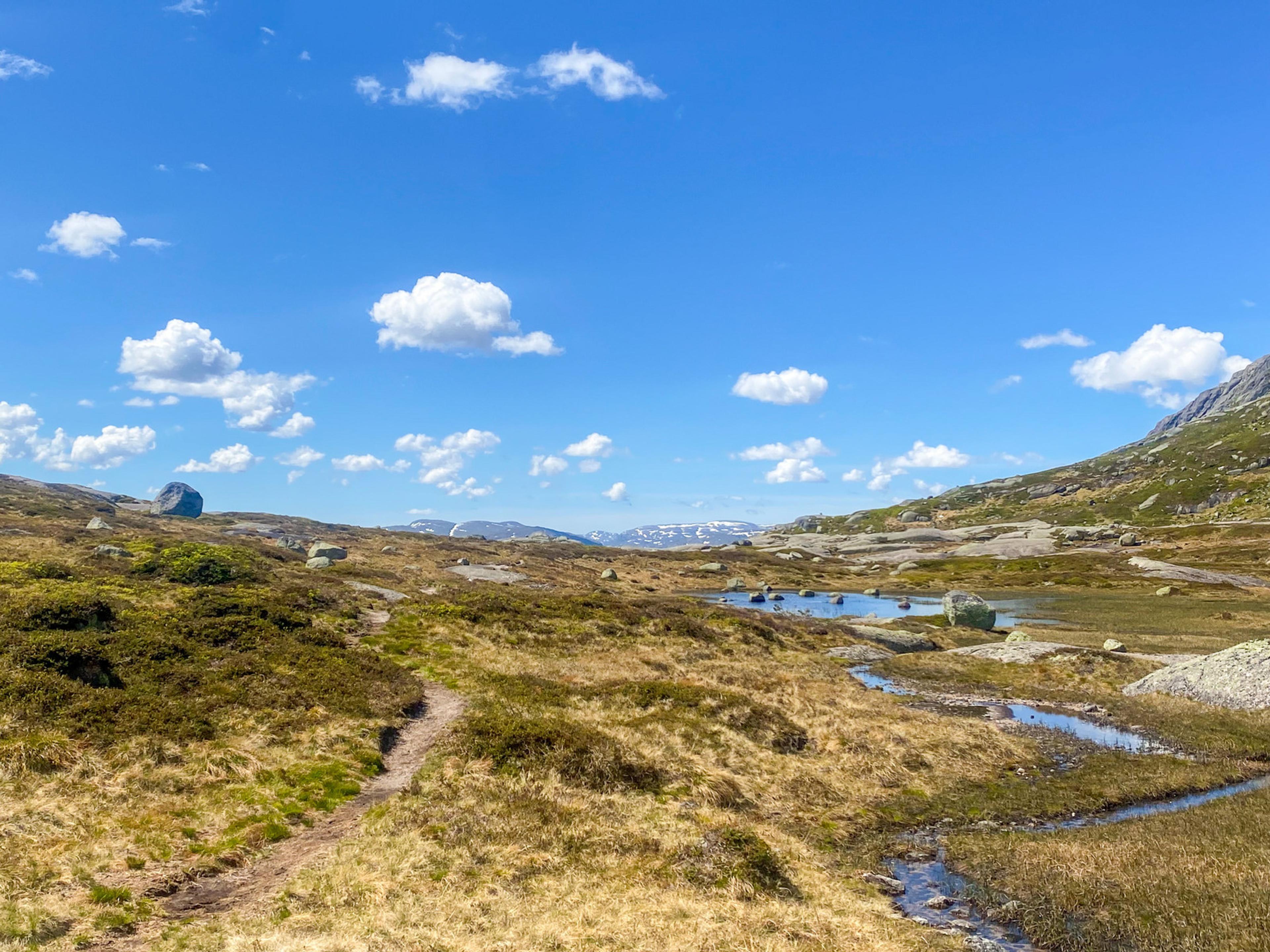 Jogledalen vår