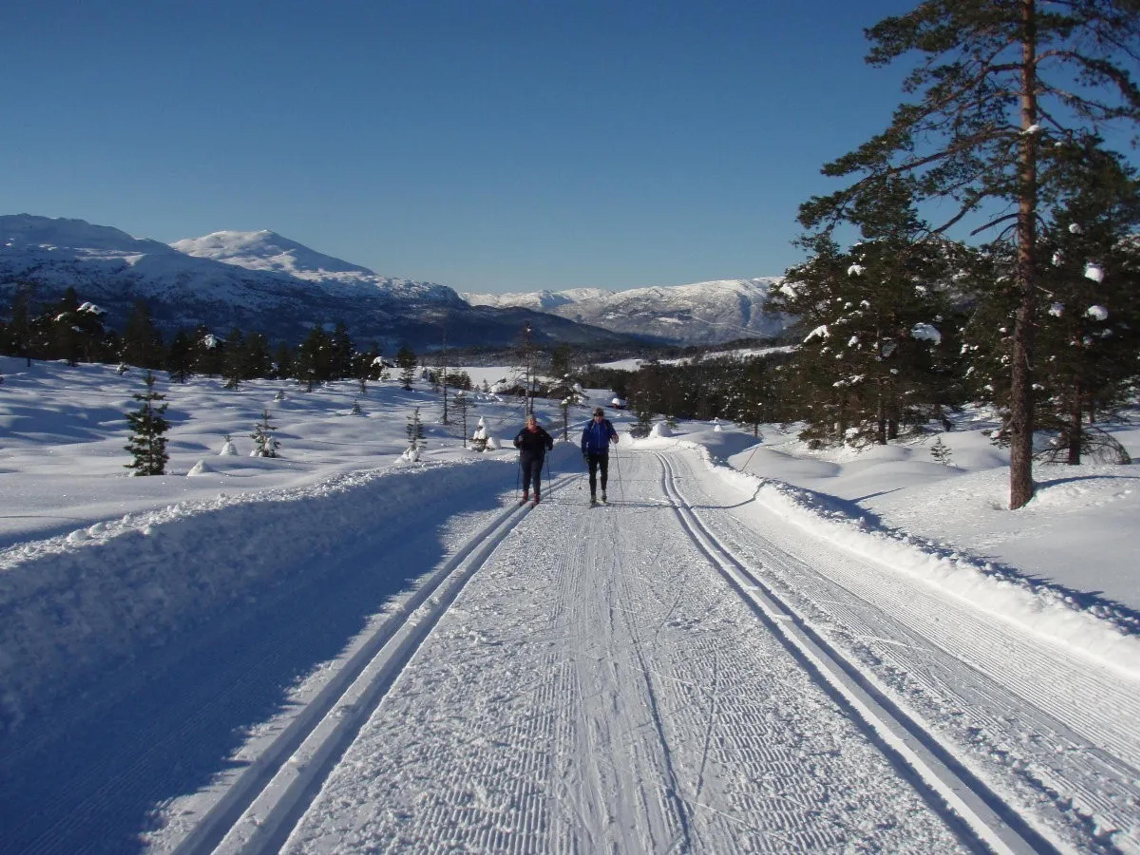 Dybevoll hyttefelt, Stryn langrenn