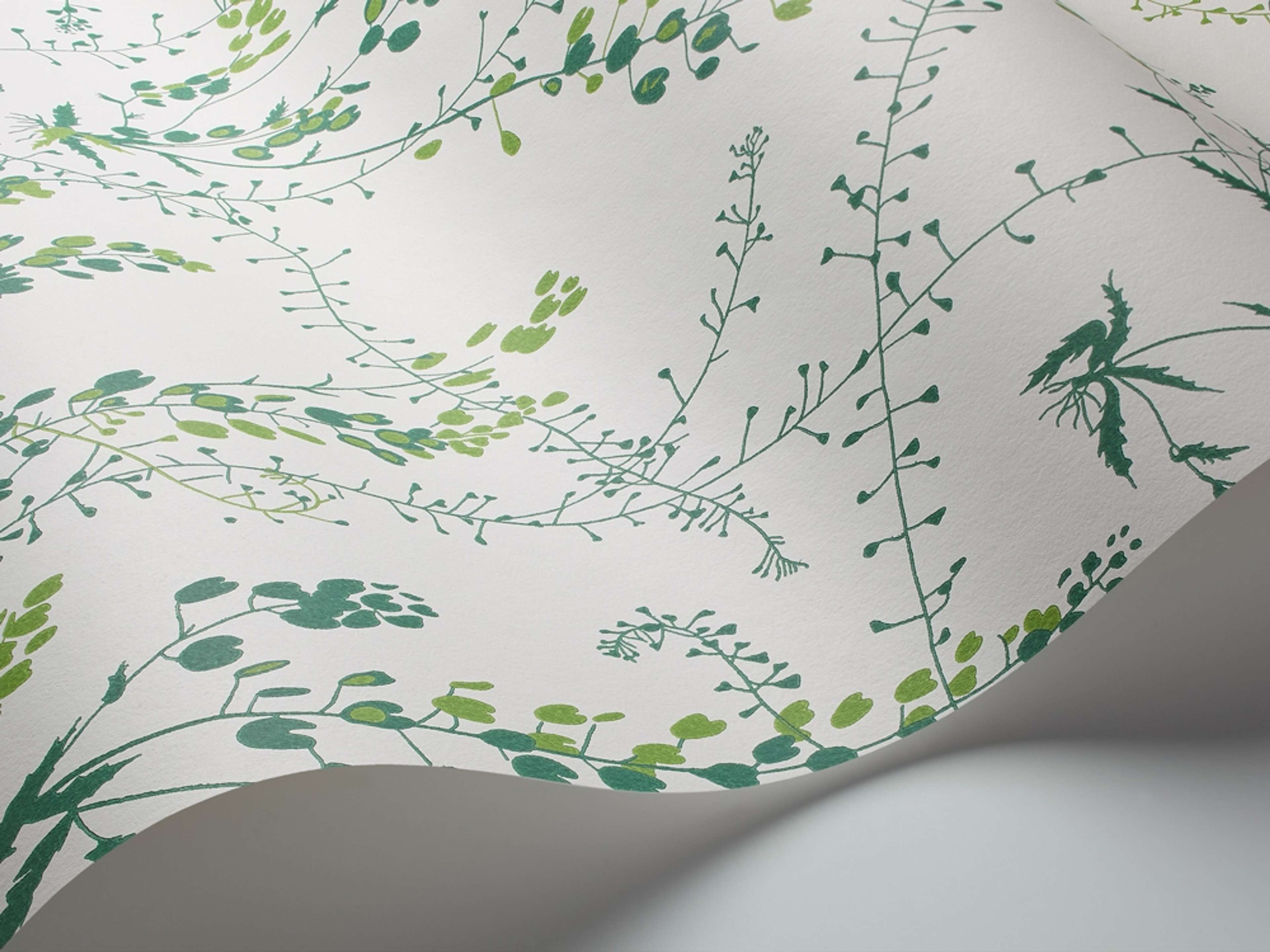 Bladranker tapet från Boråstapeter med botaniskt, retro mönster i vit och grön. Från kollektionen Scandinavian Designers II. Nonwoven-material med förskjuten passning.