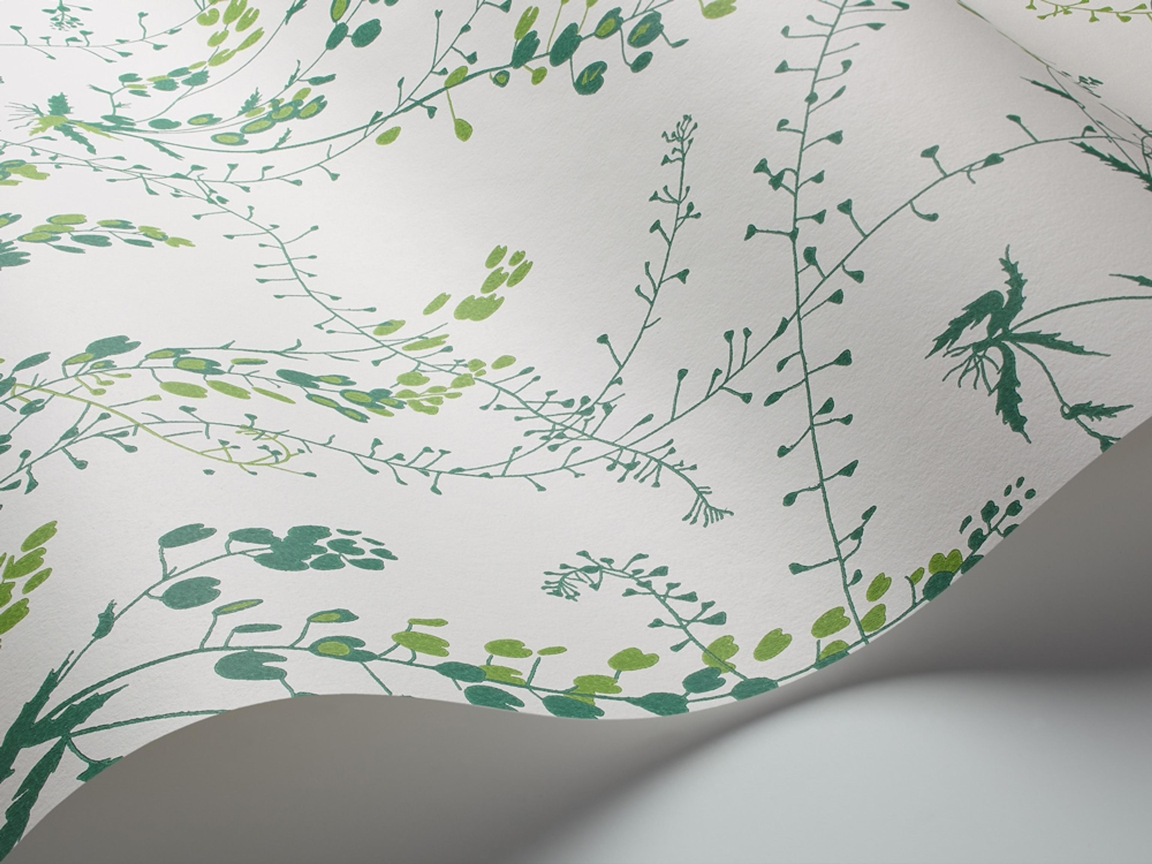 Bladranker tapet från Boråstapeter med botaniskt, retro mönster i vit och grön. Från kollektionen Scandinavian Designers II. Nonwoven-material med förskjuten passning.
