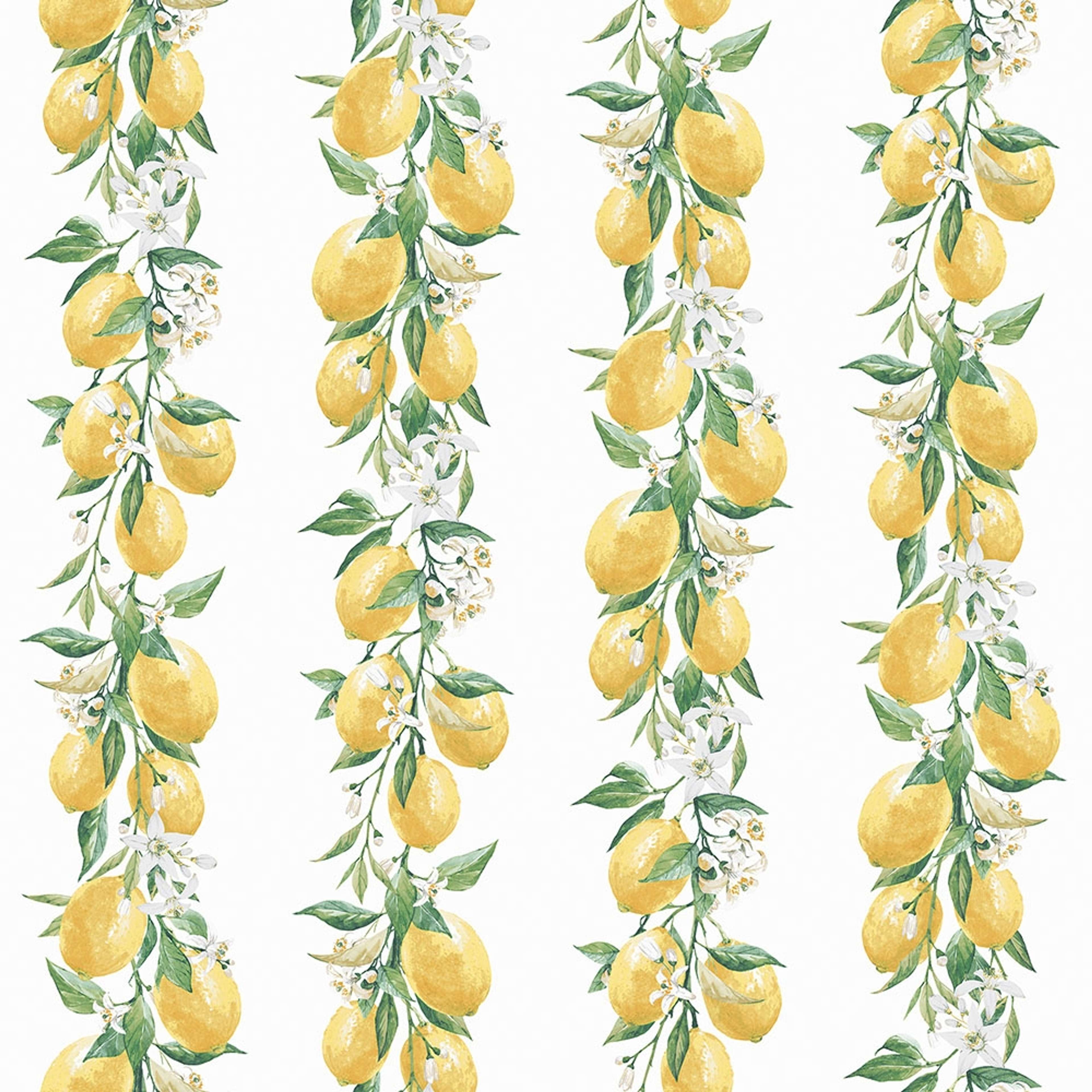 Lemon Stripe tapet med botaniskt mönster i grön. Från kollektionen Just Kitchens. Nonwoven-material.