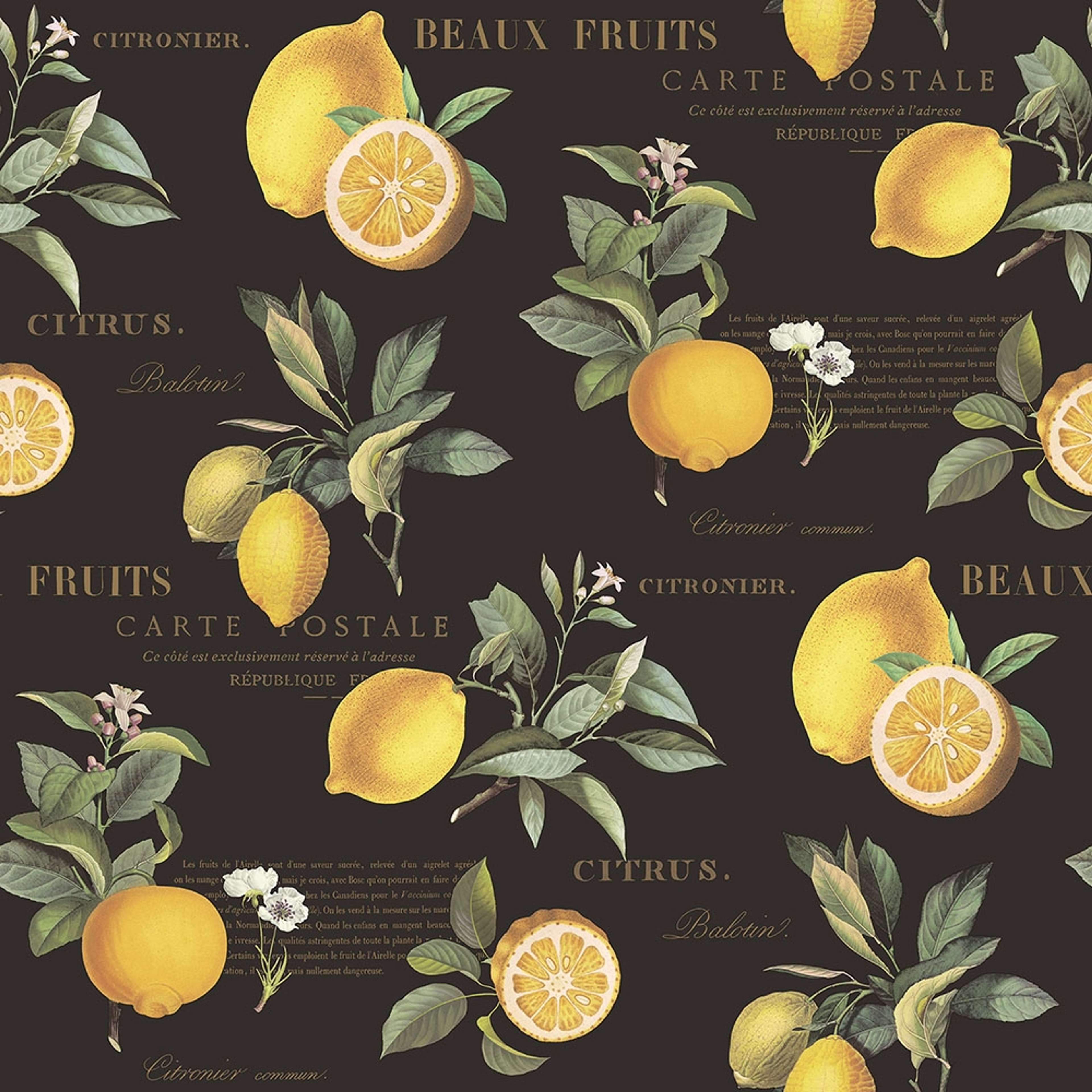Citron Botanical tapet med text mönster i svart och gul. Från kollektionen Just Kitchens. Nonwoven-material med rak passning.