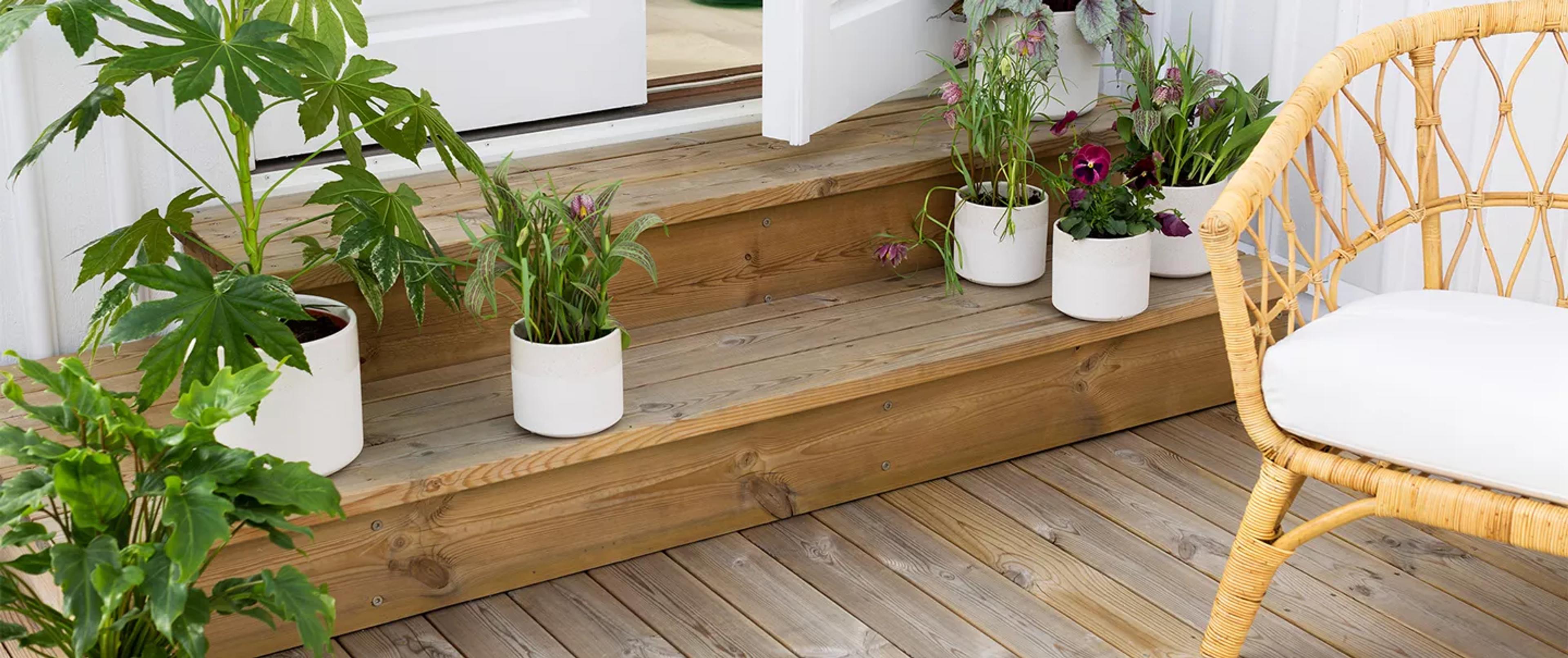 A wooden deck and steps lined with potted plants, with a rattan chair on the right.