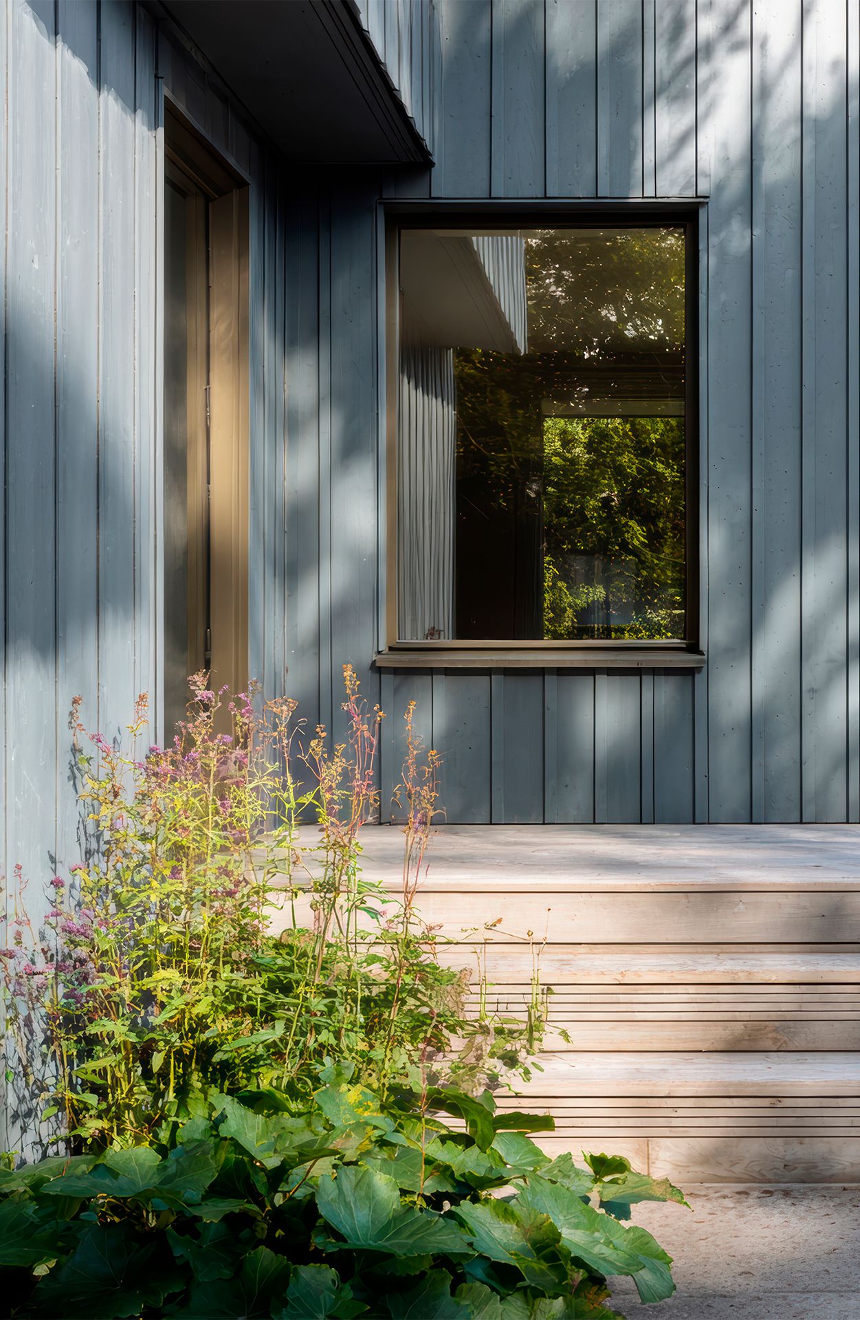 Blue-grey vertical siding on a building with a window reflecting trees, light wooden steps, and green plants with pink flowers.