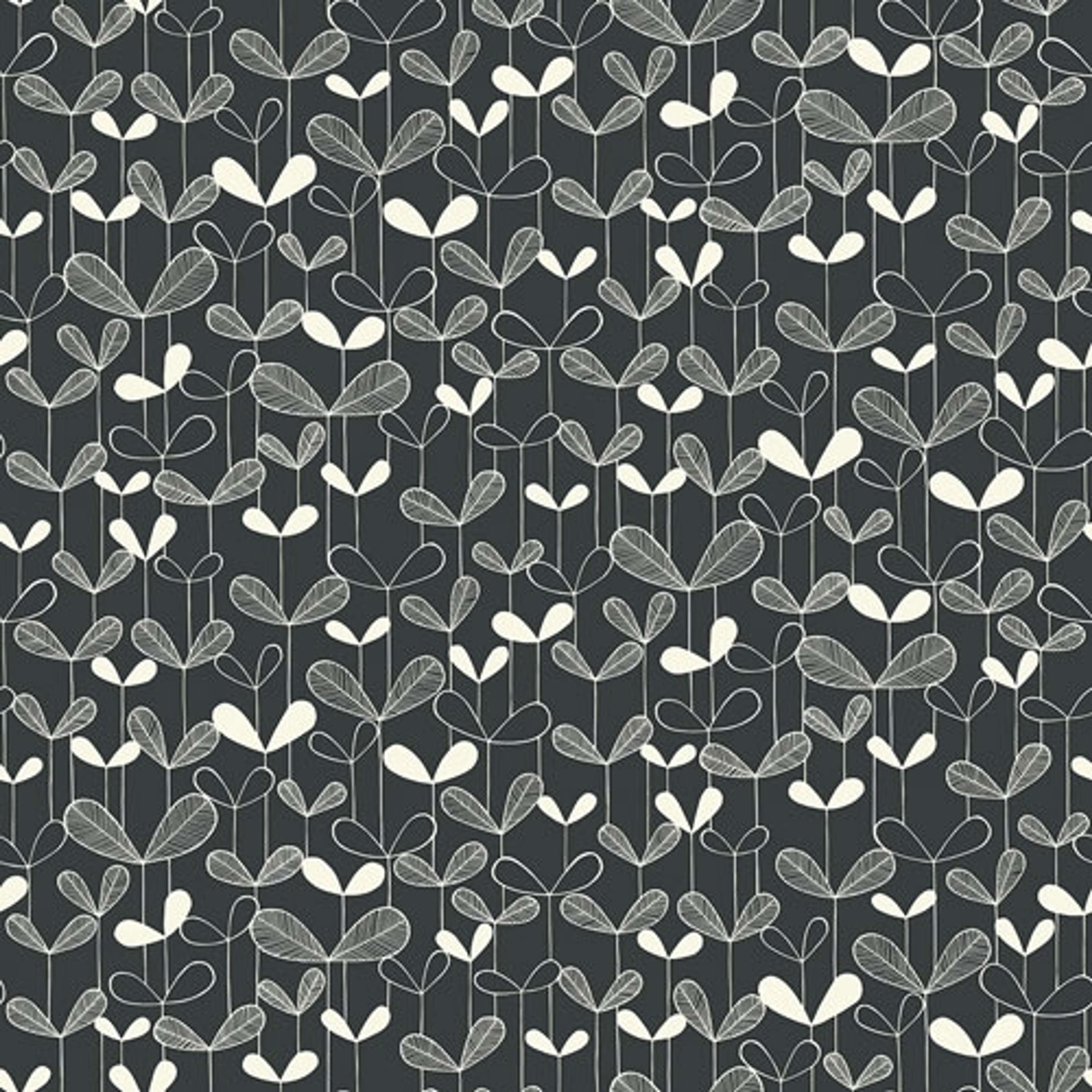 Saplings Graphite tapet från Midbec med botaniskt, retro mönster i svart. Från kollektionen Kinfolk. Nonwoven-material med förskjuten passning.