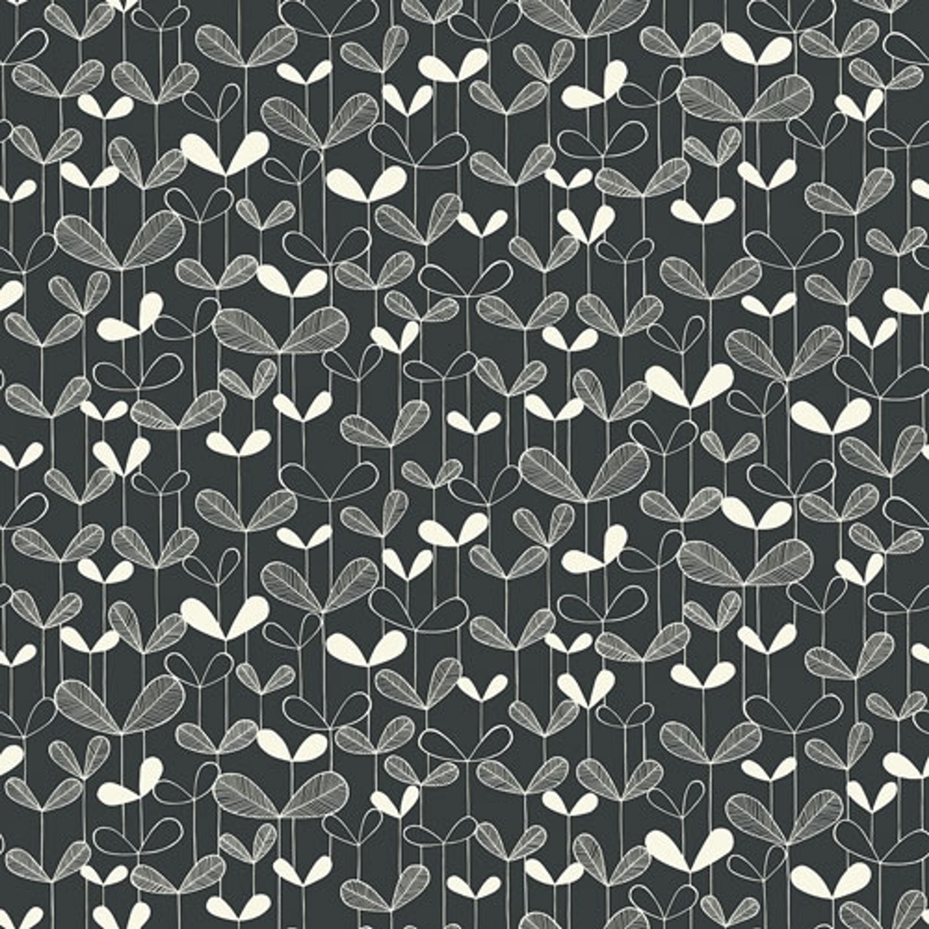 Saplings Graphite tapet från Midbec med botaniskt, retro mönster i svart. Från kollektionen Kinfolk. Nonwoven-material med förskjuten passning.