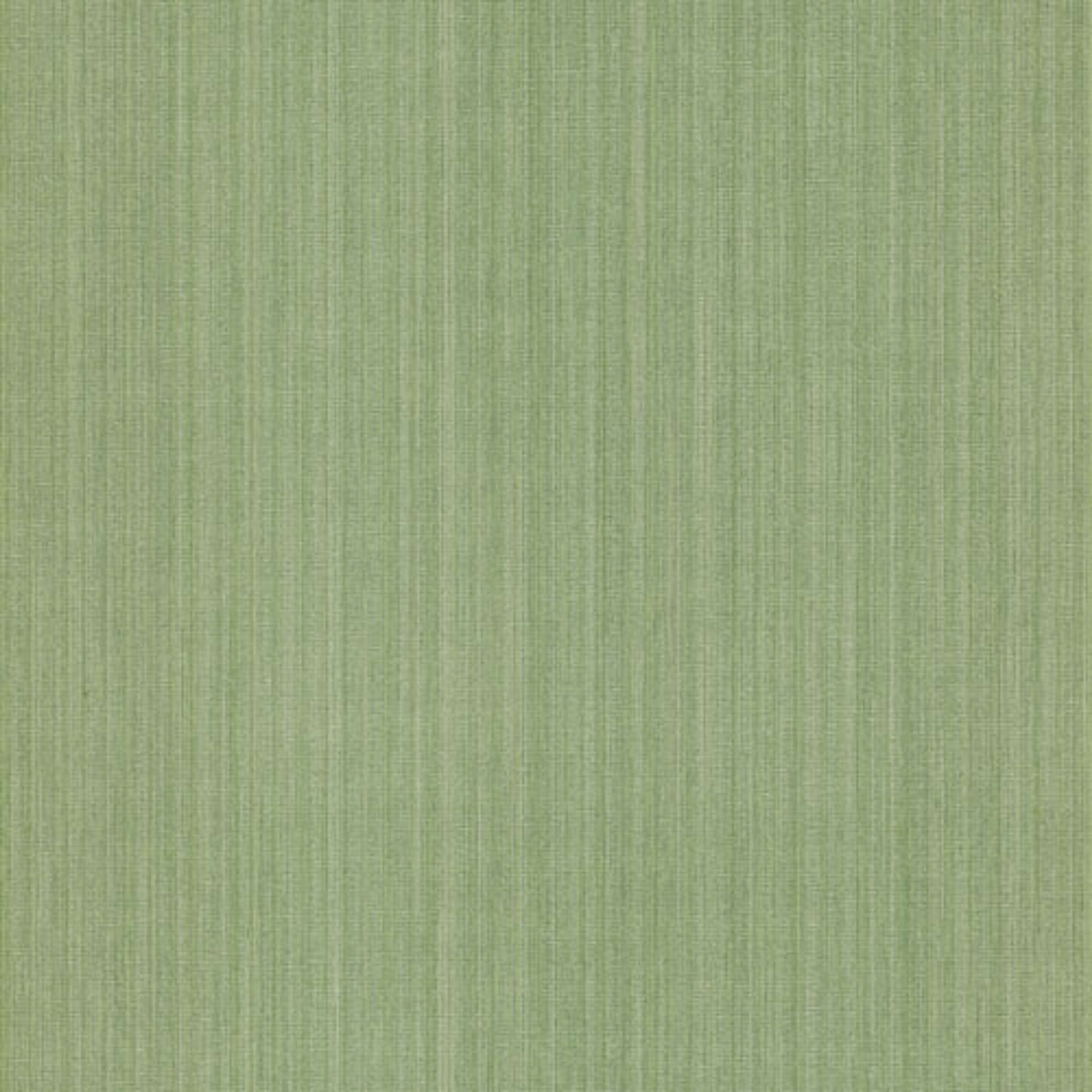 Naxos Greenery tapet från Midbec enfärgad i grön. Från kollektionen Wild. Nonwoven-material. Passar i vardagsrum, tonårsrum och arbetsrum.