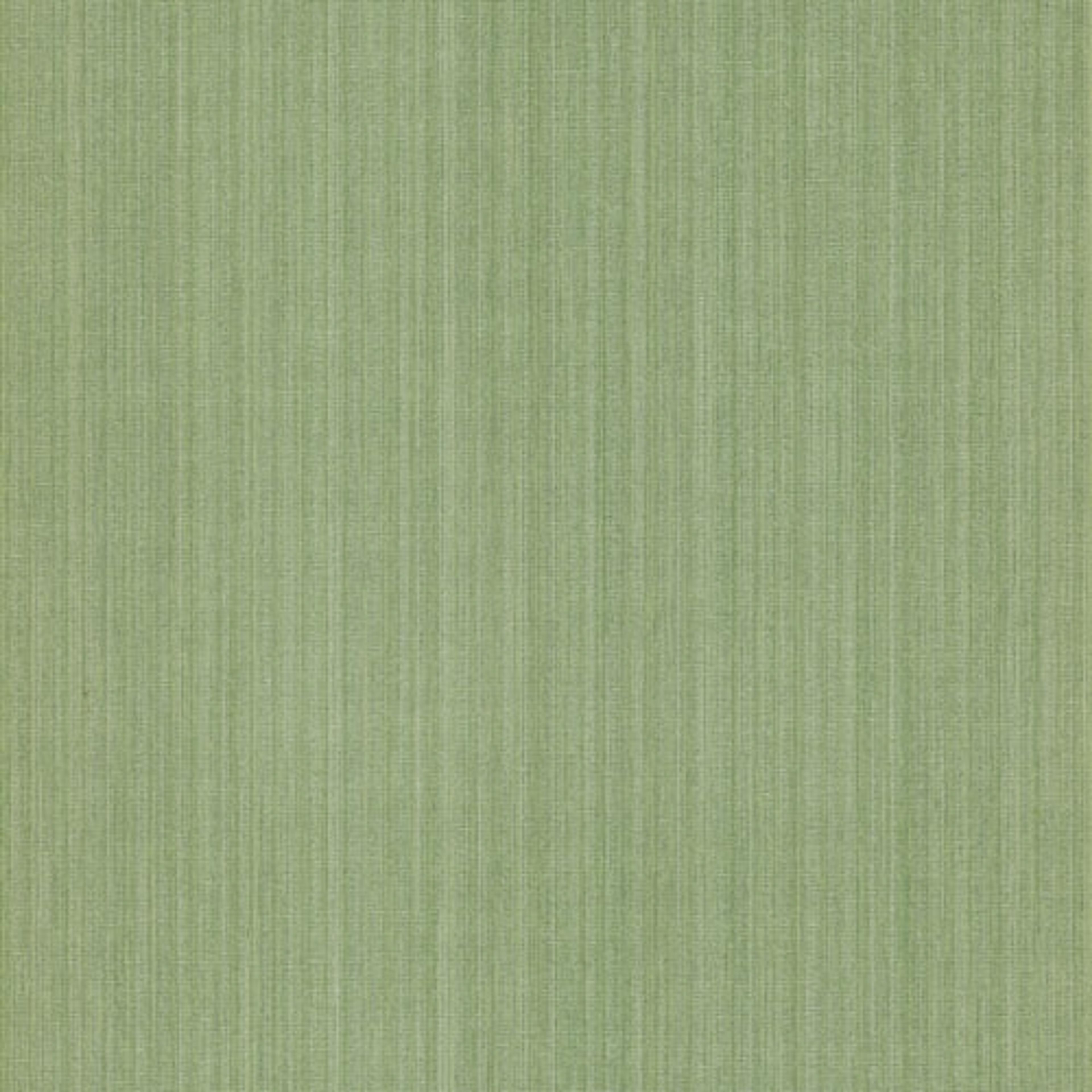 Naxos Greenery tapet från Midbec enfärgad i grön. Från kollektionen Wild. Nonwoven-material. Passar i vardagsrum, tonårsrum och arbetsrum.