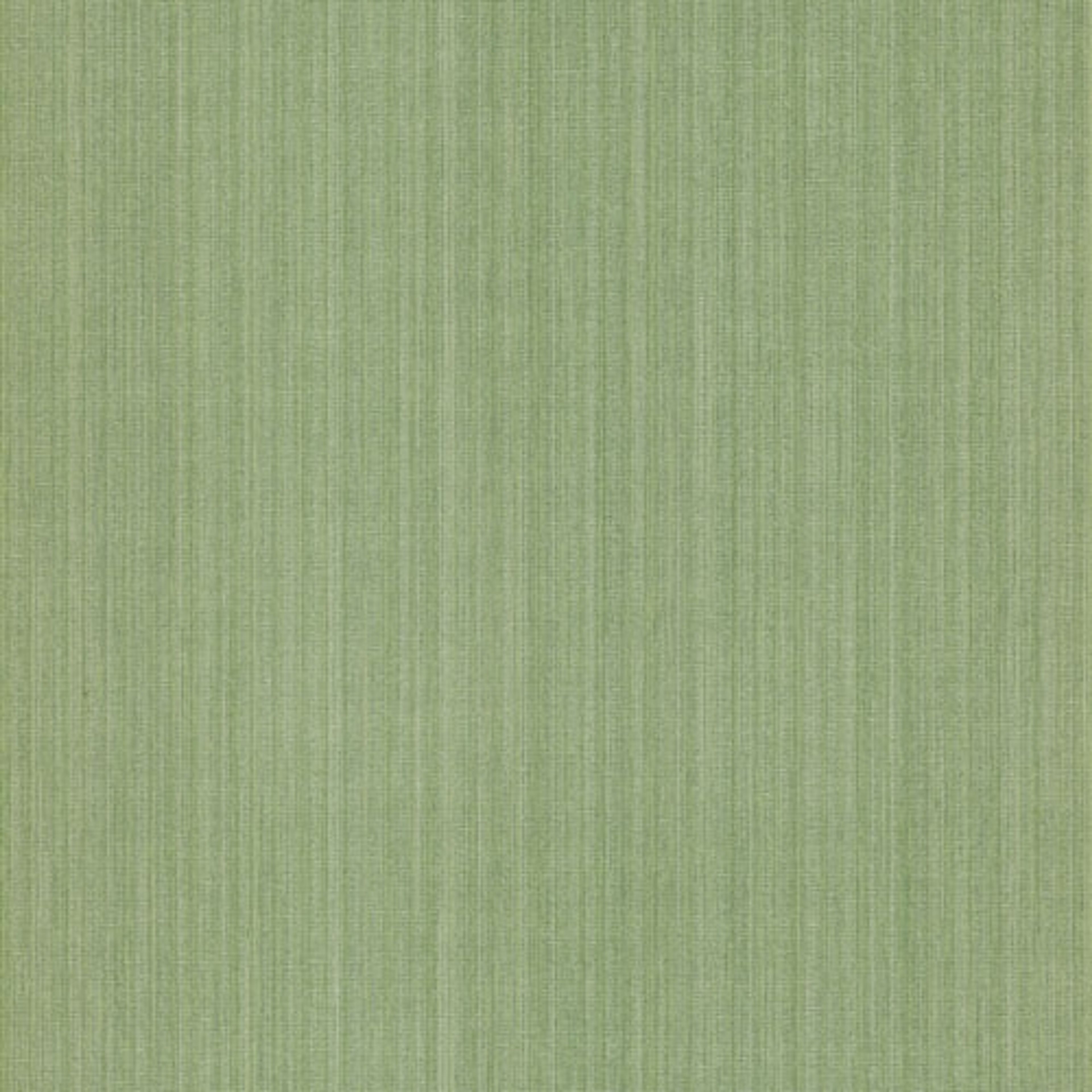 Naxos Greenery tapet från Midbec enfärgad i grön. Från kollektionen Wild. Nonwoven-material. Passar i vardagsrum, tonårsrum och arbetsrum.