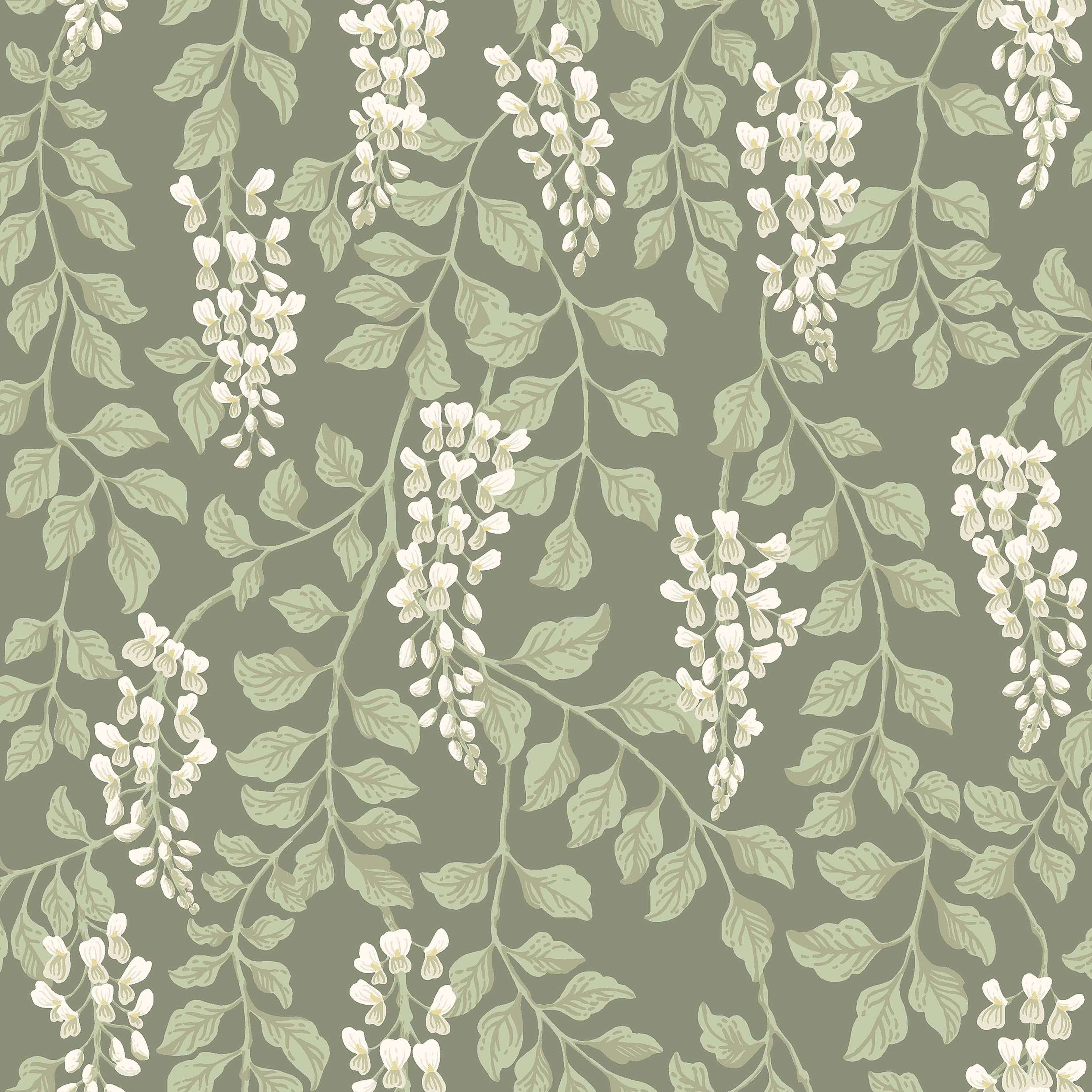 Blåregn grön, tapet tapet med botaniskt, blommigt mönster i grön. Från kollektionen Orangeri. Nonwoven-material med förskjuten passning. Passar i vardagsrum och kök.