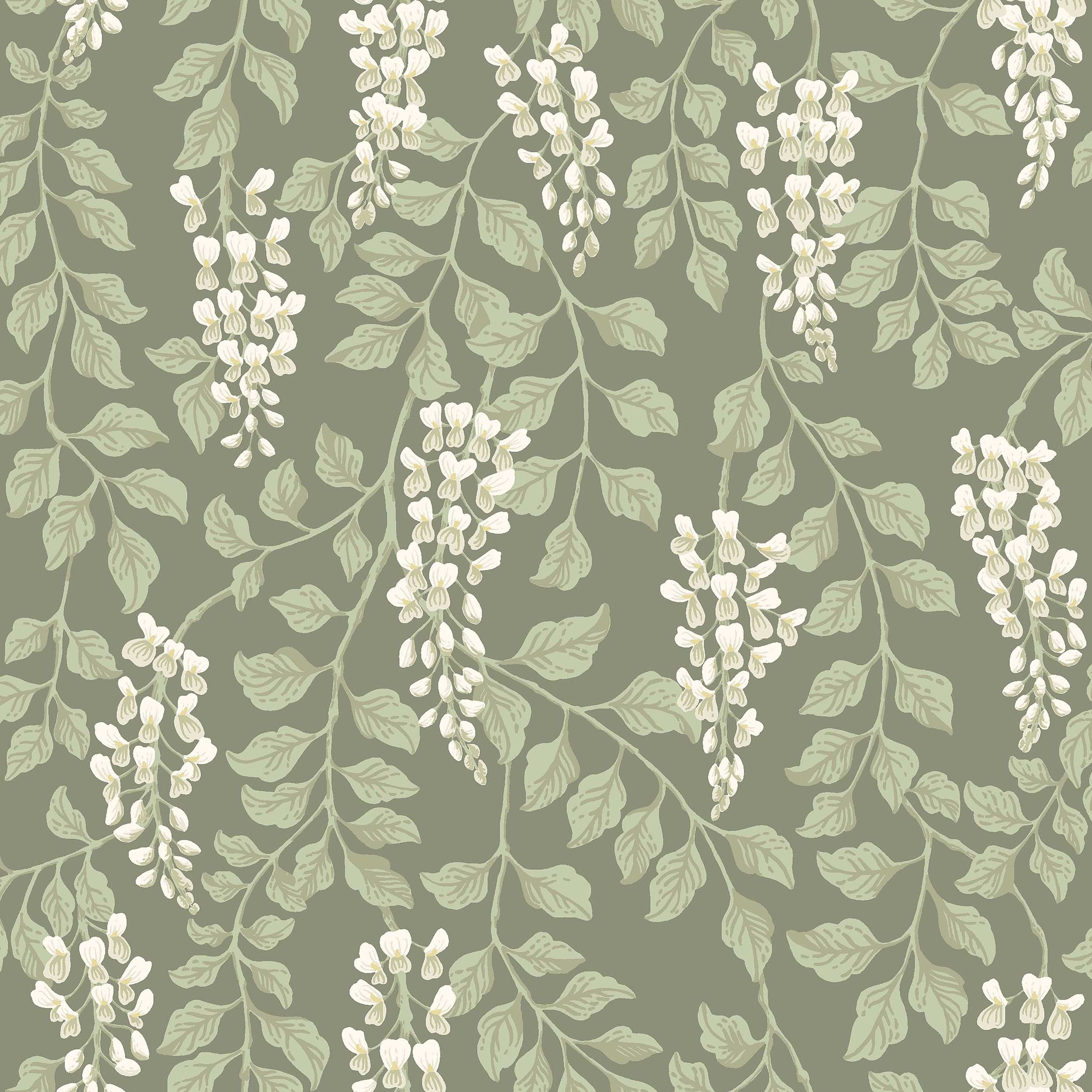 Blåregn grön, tapet tapet med botaniskt, blommigt mönster i grön. Från kollektionen Orangeri. Nonwoven-material med förskjuten passning. Passar i vardagsrum och kök.