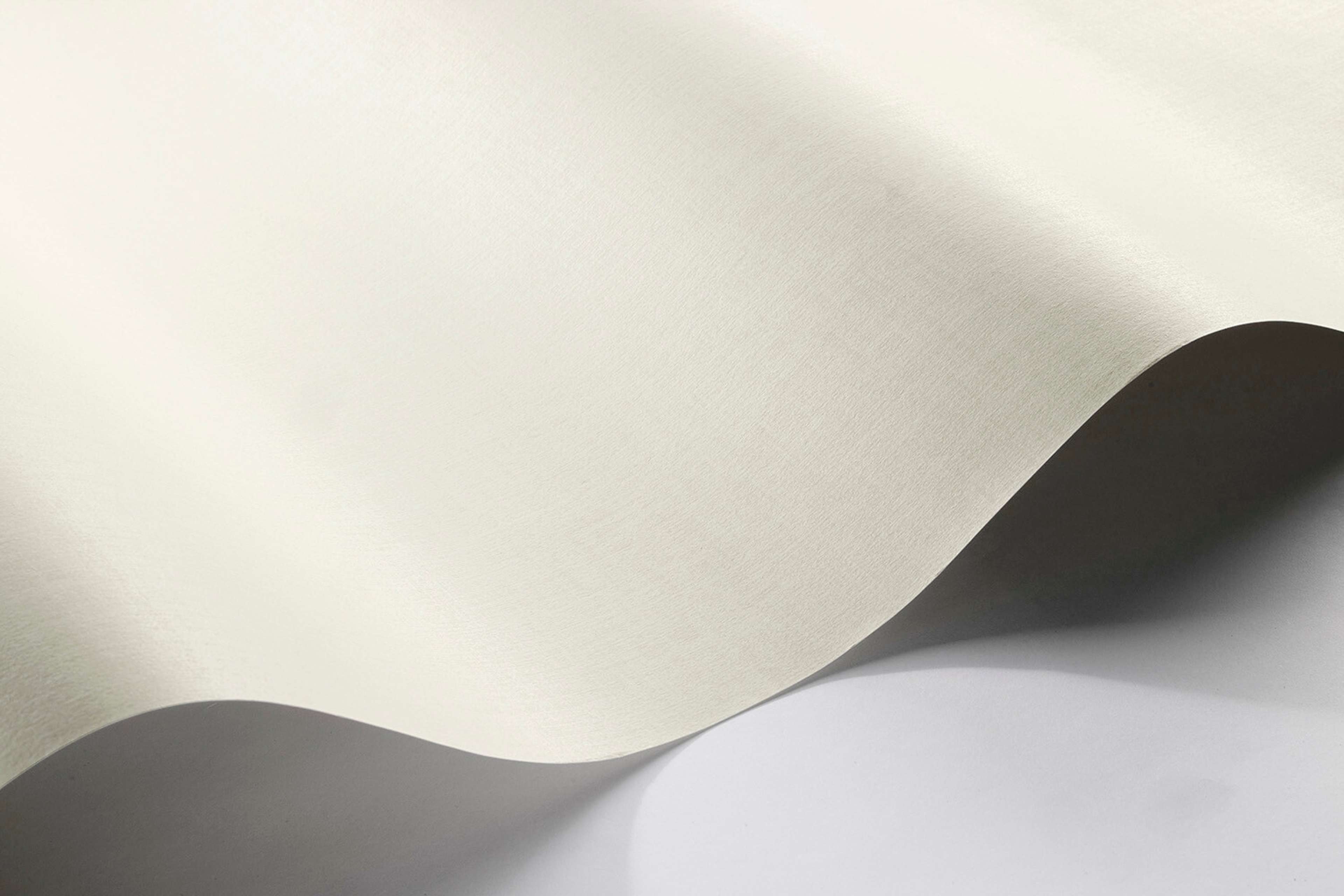Borosan 21 8636 tapet enfärgad i beige. Från kollektionen Borosan 21. Papper-material.