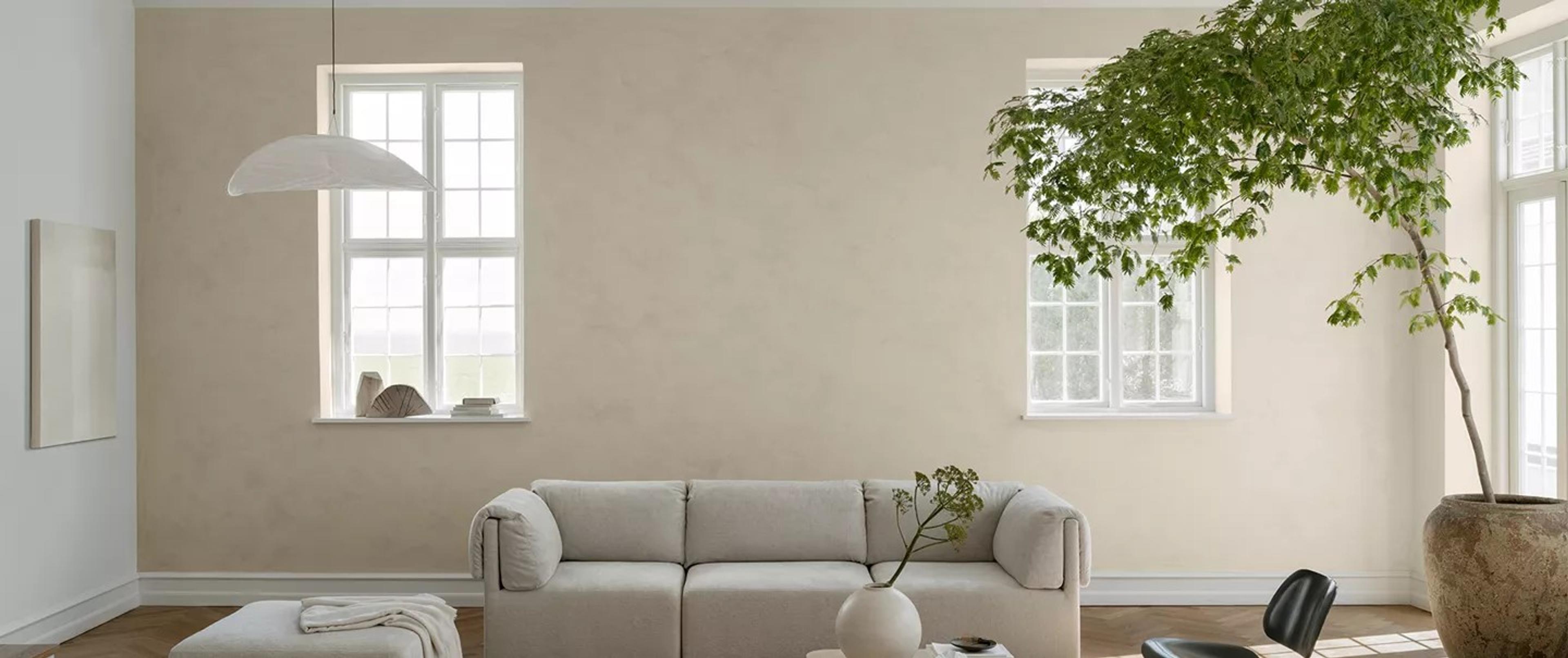 A minimalist living room with beige walls, a modular sofa, windows, and a large indoor plant in a pot.