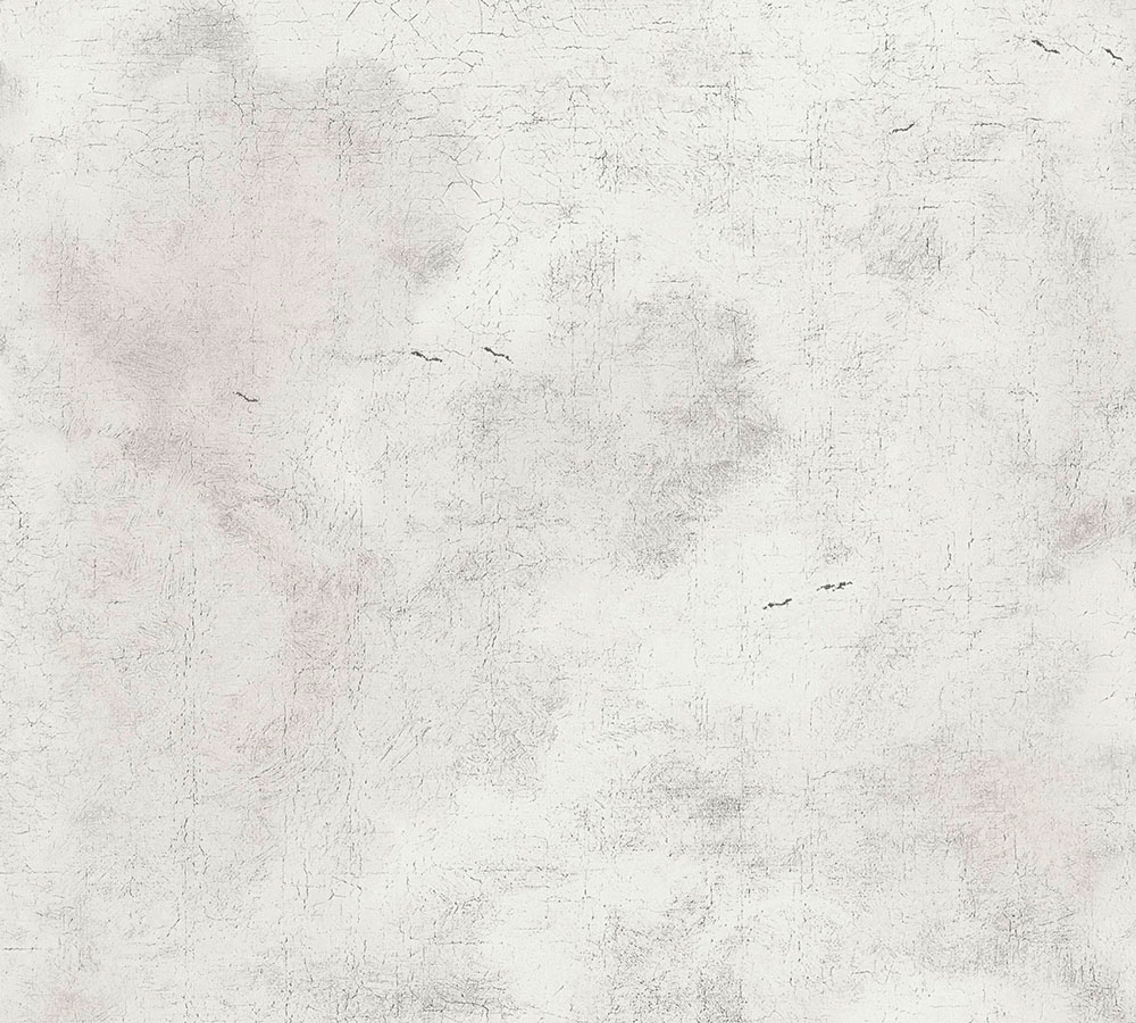 Cloud Imitation, strukturtapet i grå och vit tapet med djur mönster i grå. Från kollektionen history of art. Nonwoven-material med förskjuten passning. Passar i vardagsrum och matsal.