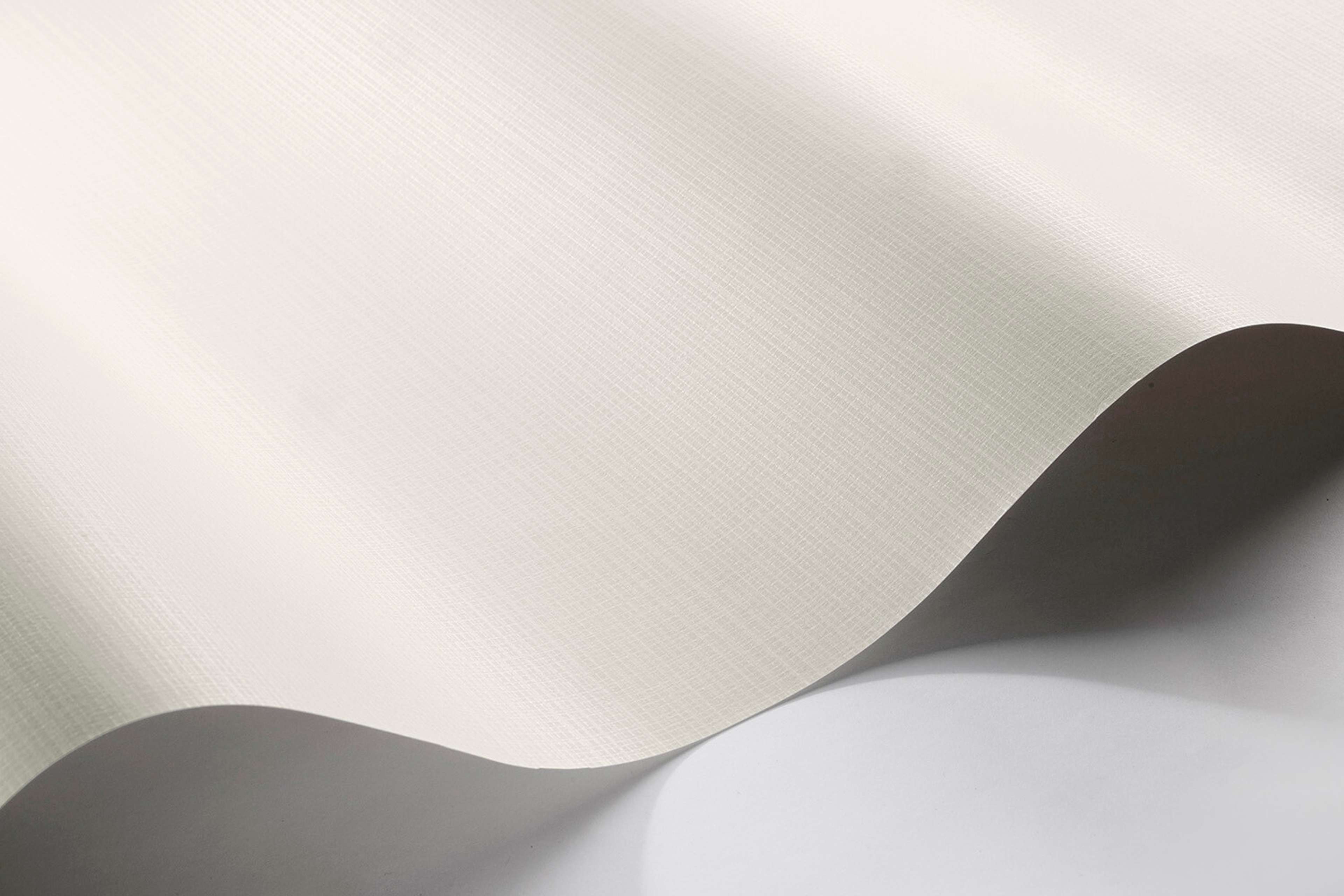 Borosan 21 8645 tapet enfärgad i beige. Från kollektionen Borosan 21. Papper-material.
