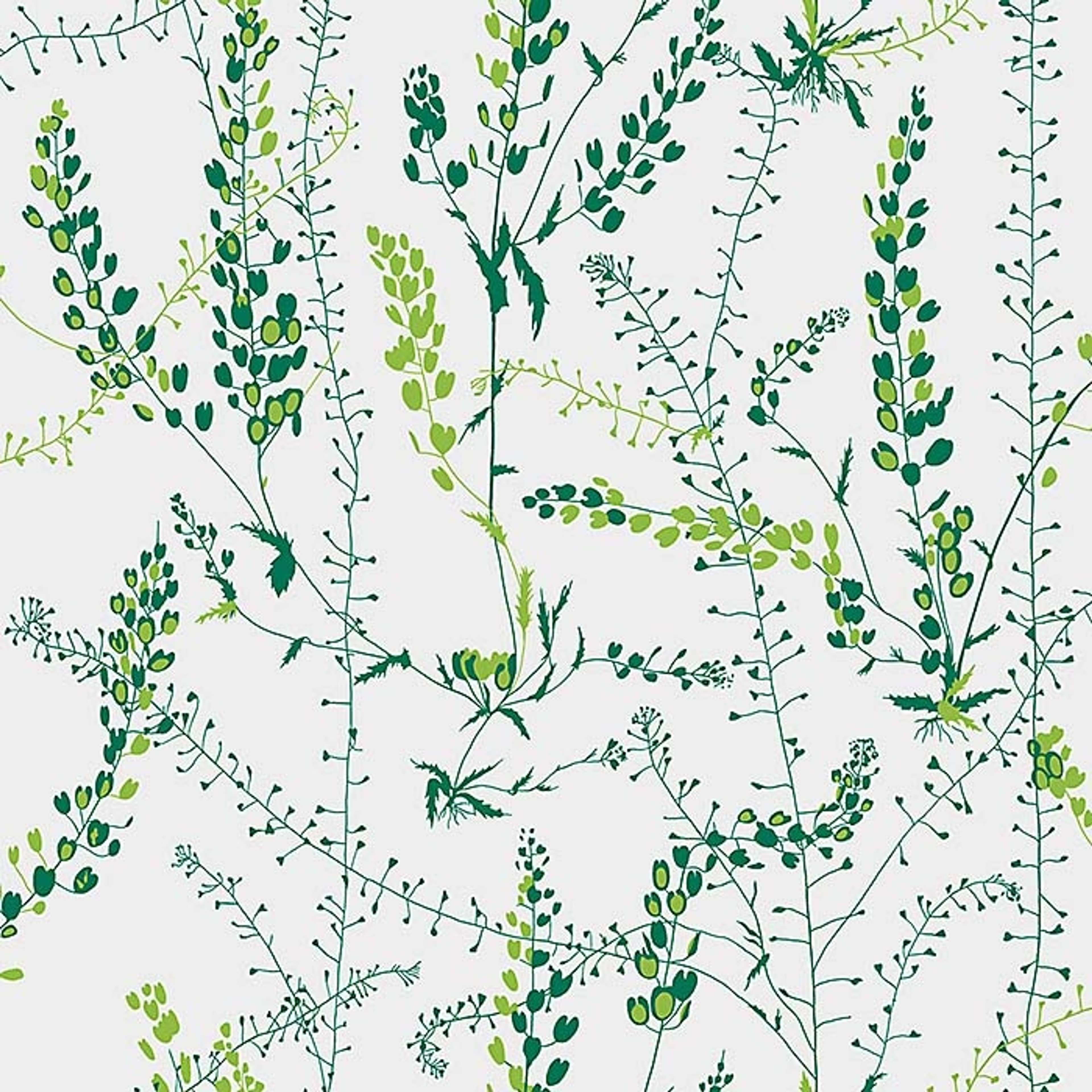 Bladranker tapet från Boråstapeter med botaniskt, retro mönster i vit och grön. Från kollektionen Scandinavian Designers II. Nonwoven-material med förskjuten passning.