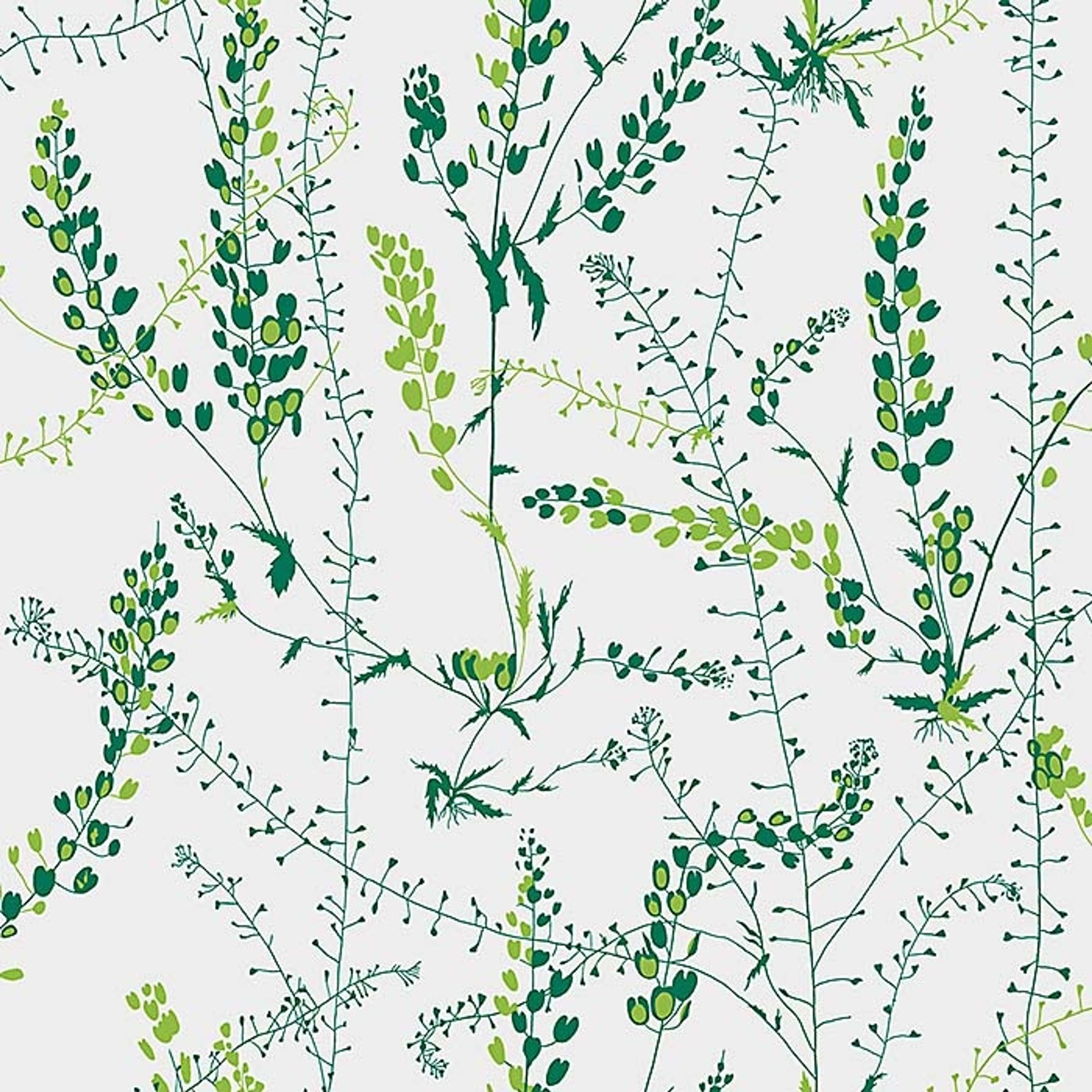 Bladranker tapet från Boråstapeter med botaniskt, retro mönster i vit och grön. Från kollektionen Scandinavian Designers II. Nonwoven-material med förskjuten passning.