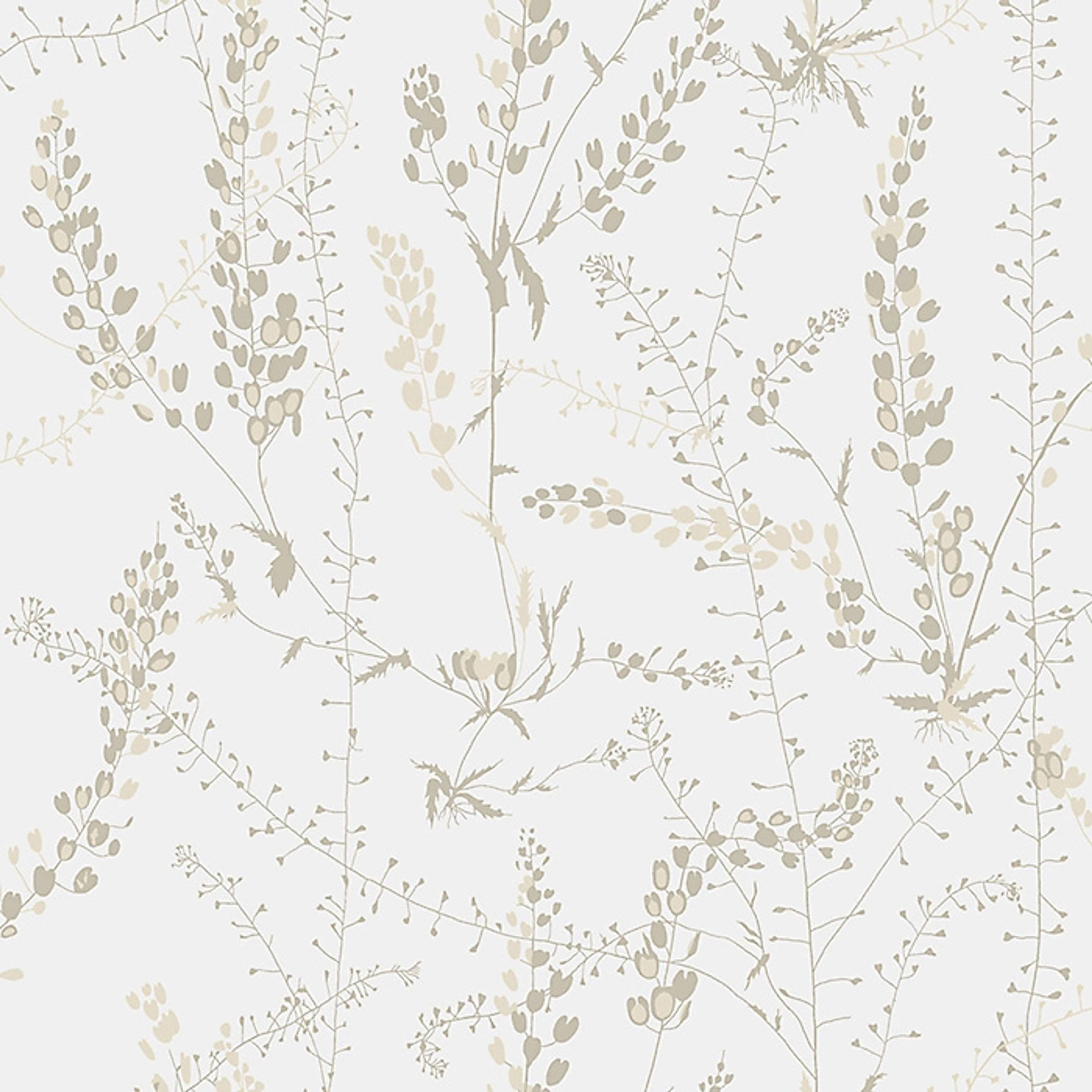Bladranker tapet från Boråstapeter med botaniskt, retro mönster i vit, brun och beige. Från kollektionen Scandinavian Designers II. Nonwoven-material med förskjuten passning.