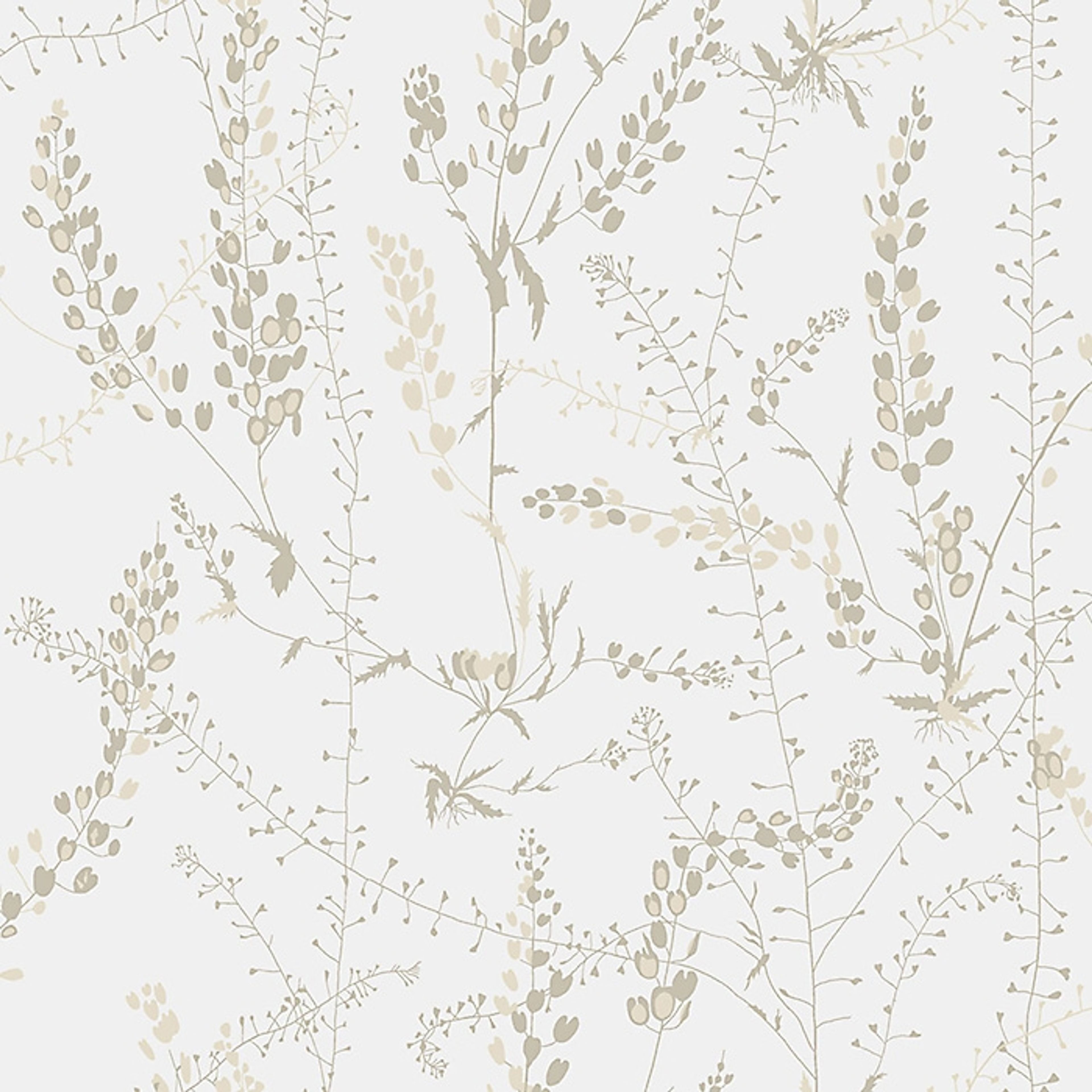 Bladranker tapet från Boråstapeter med botaniskt, retro mönster i vit, brun och beige. Från kollektionen Scandinavian Designers II. Nonwoven-material med förskjuten passning.
