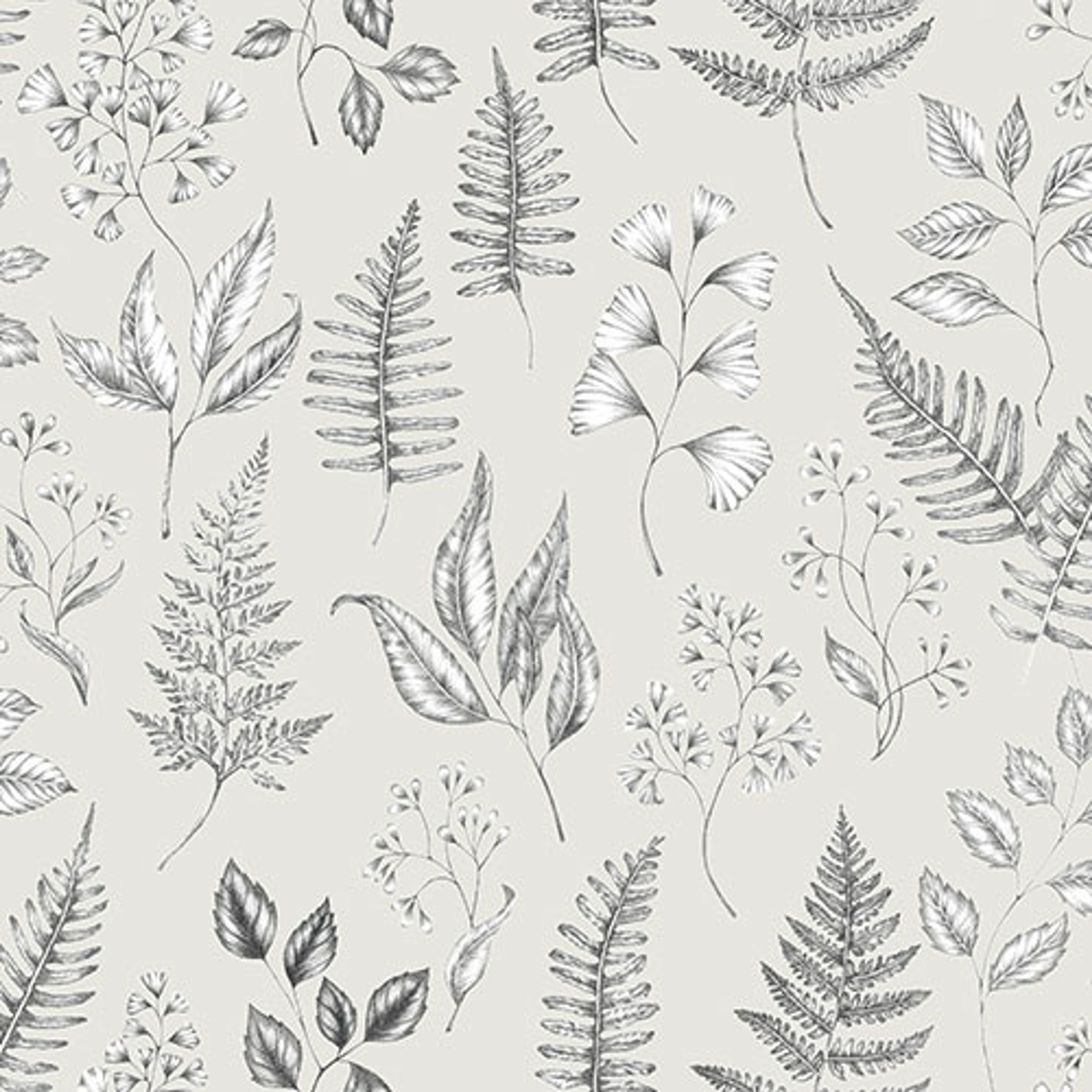 Betula tapet med botaniskt mönster i grå. Från kollektionen skogsgläntan. Nonwoven-material med förskjuten passning. Country, city-stil. Passar i vardagsrum, sovrum och matsal.