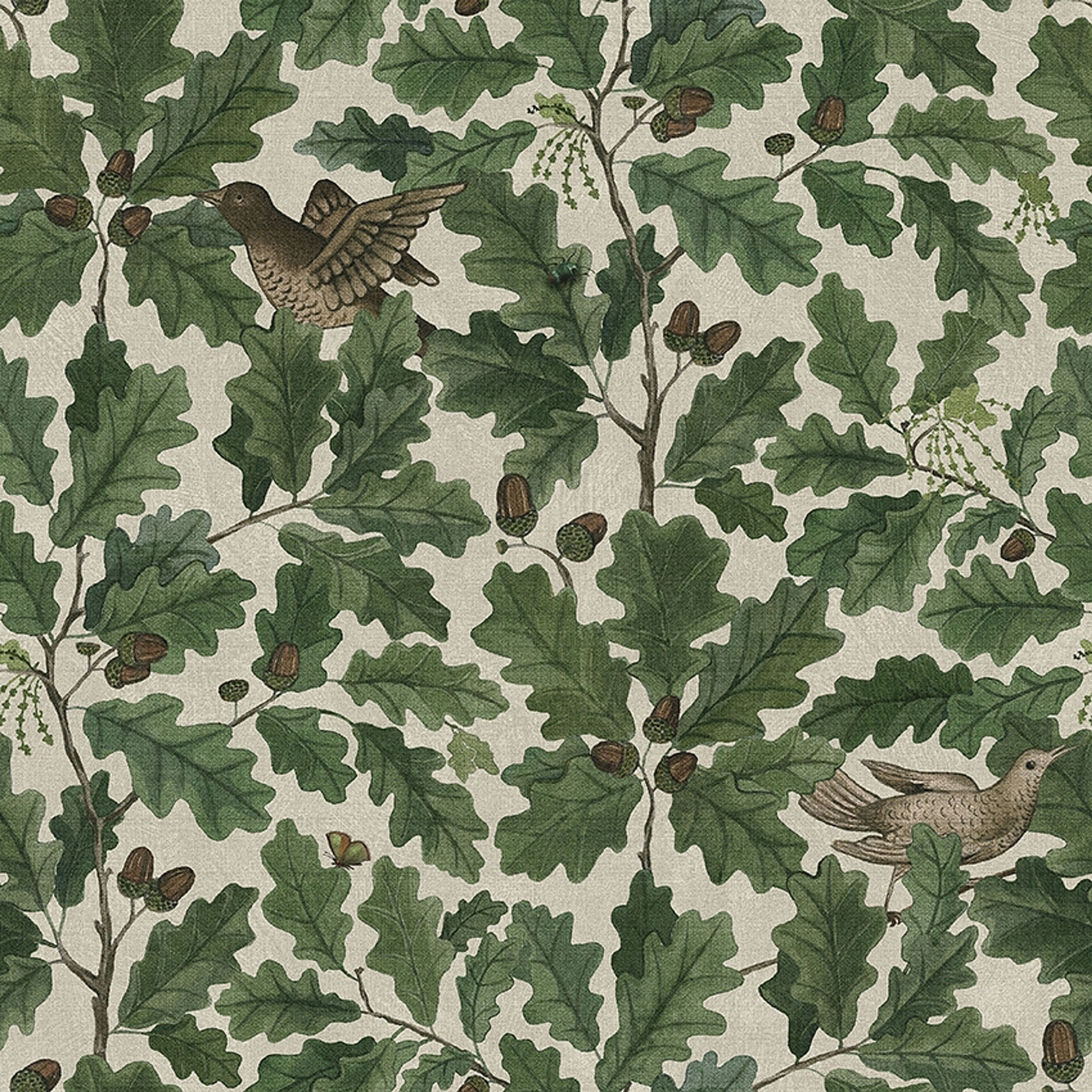 In the Oak tapet med djur, botaniskt, blommigt mönster i grön och beige. Från kollektionen Special Edition Forest. Nonwoven-material med rak passning. Lyx-stil.