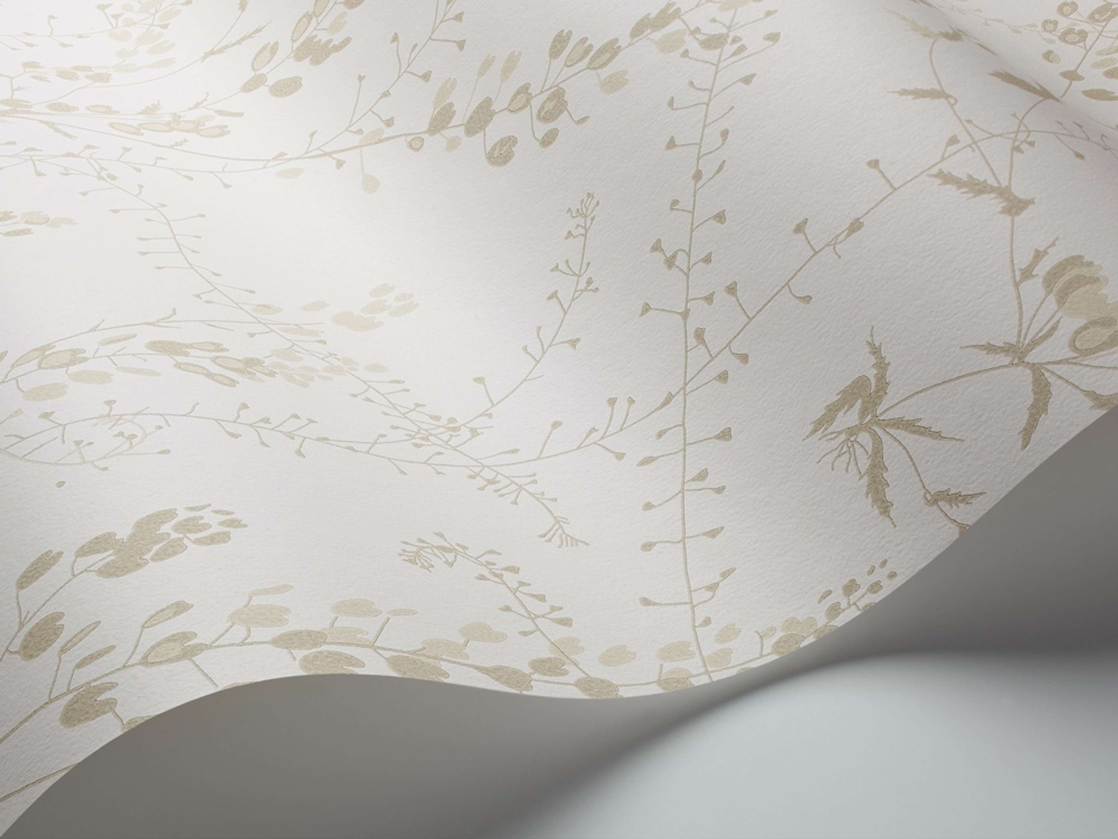 Bladranker tapet från Boråstapeter med botaniskt, retro mönster i vit, brun och beige. Från kollektionen Scandinavian Designers II. Nonwoven-material med förskjuten passning.